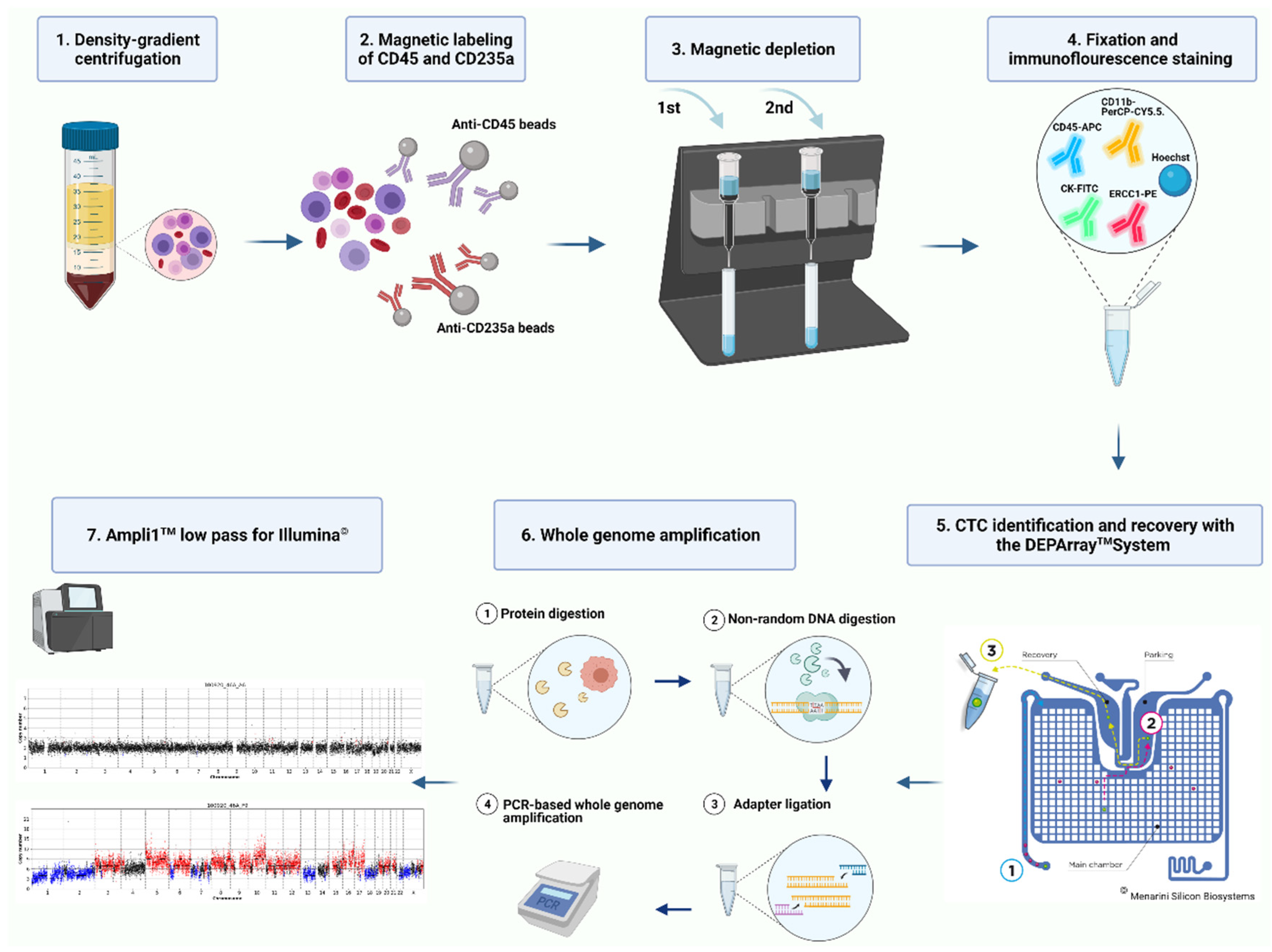 Cancers 13 03748 g001