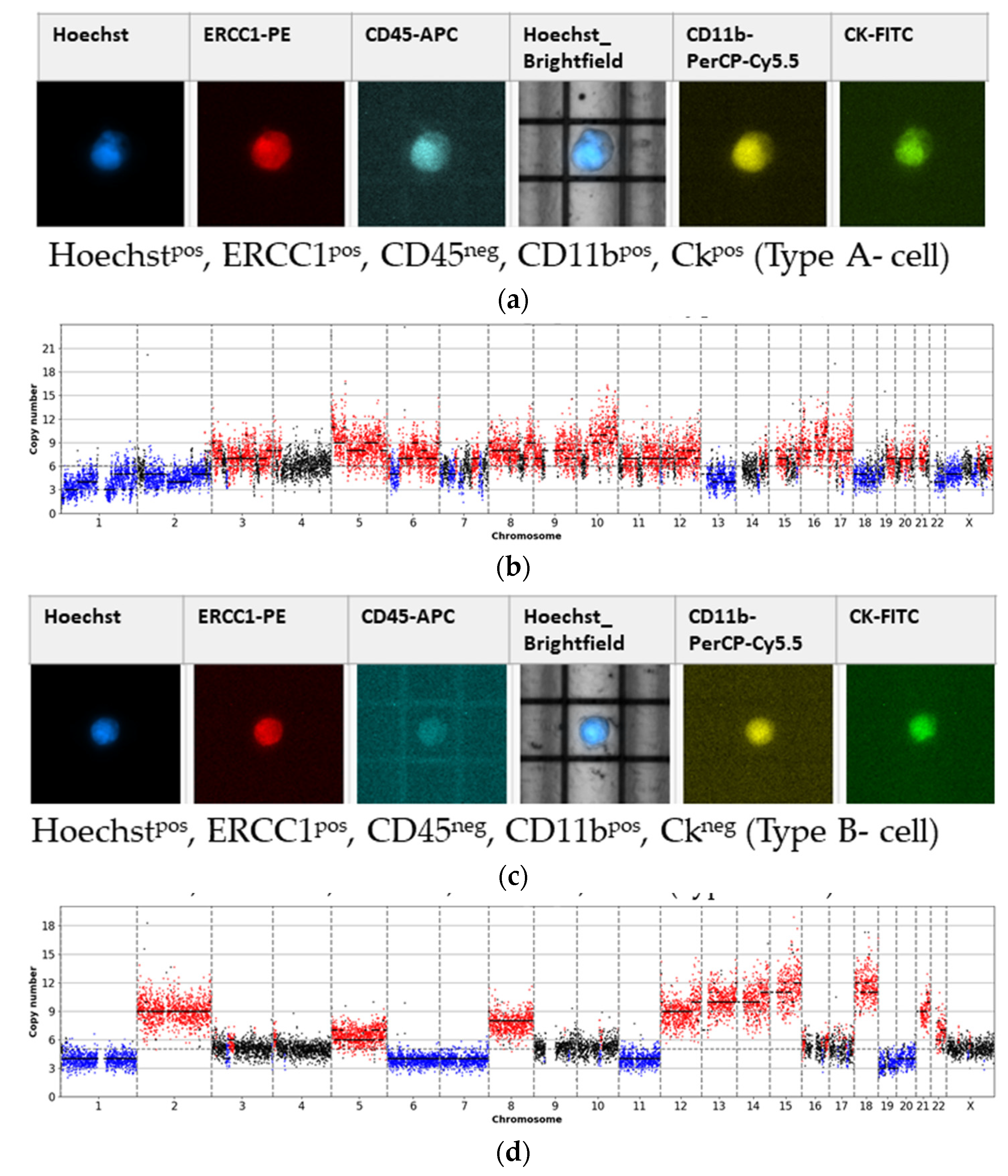 Cancers 13 03748 g002a