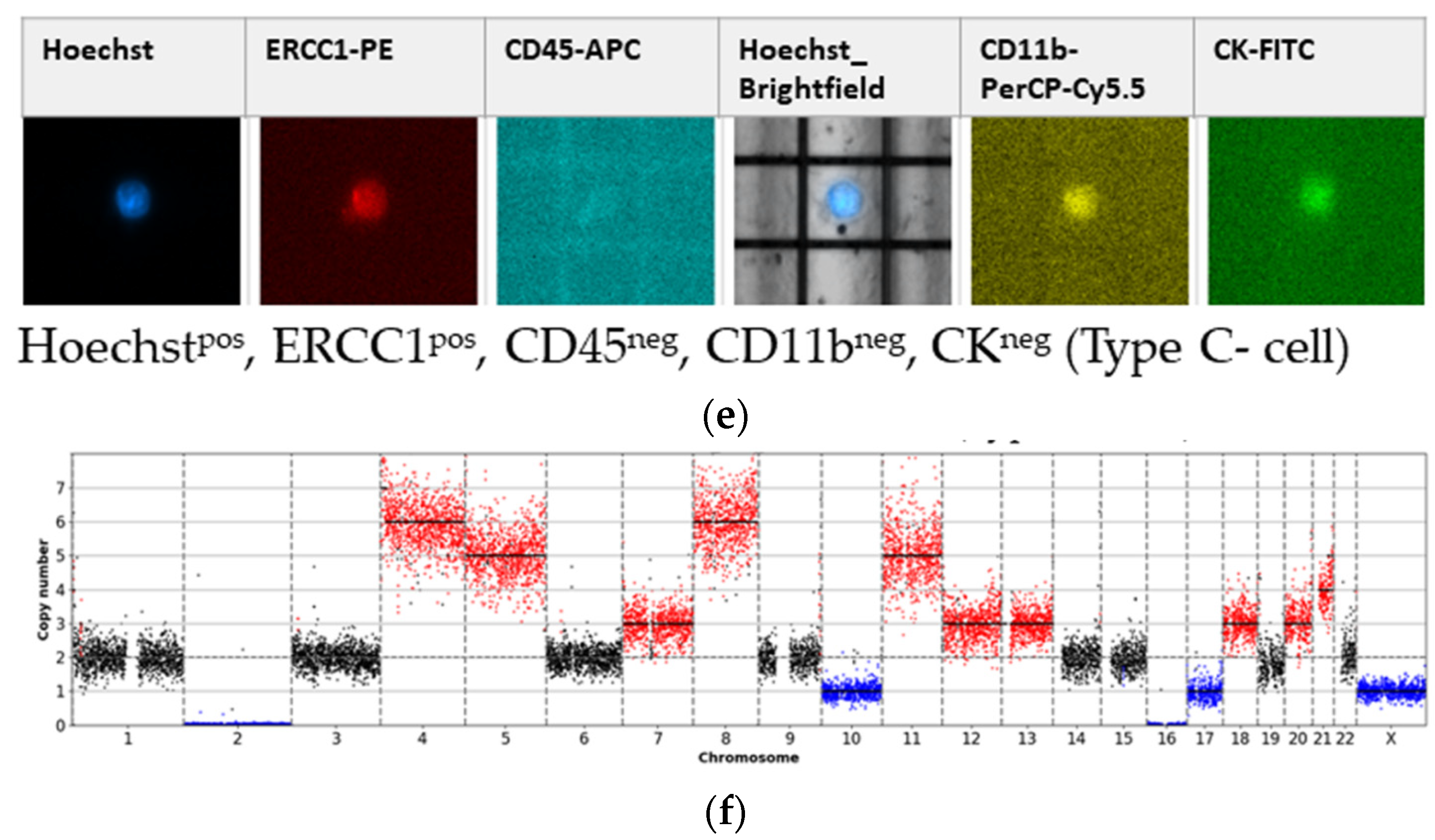 Cancers 13 03748 g002b