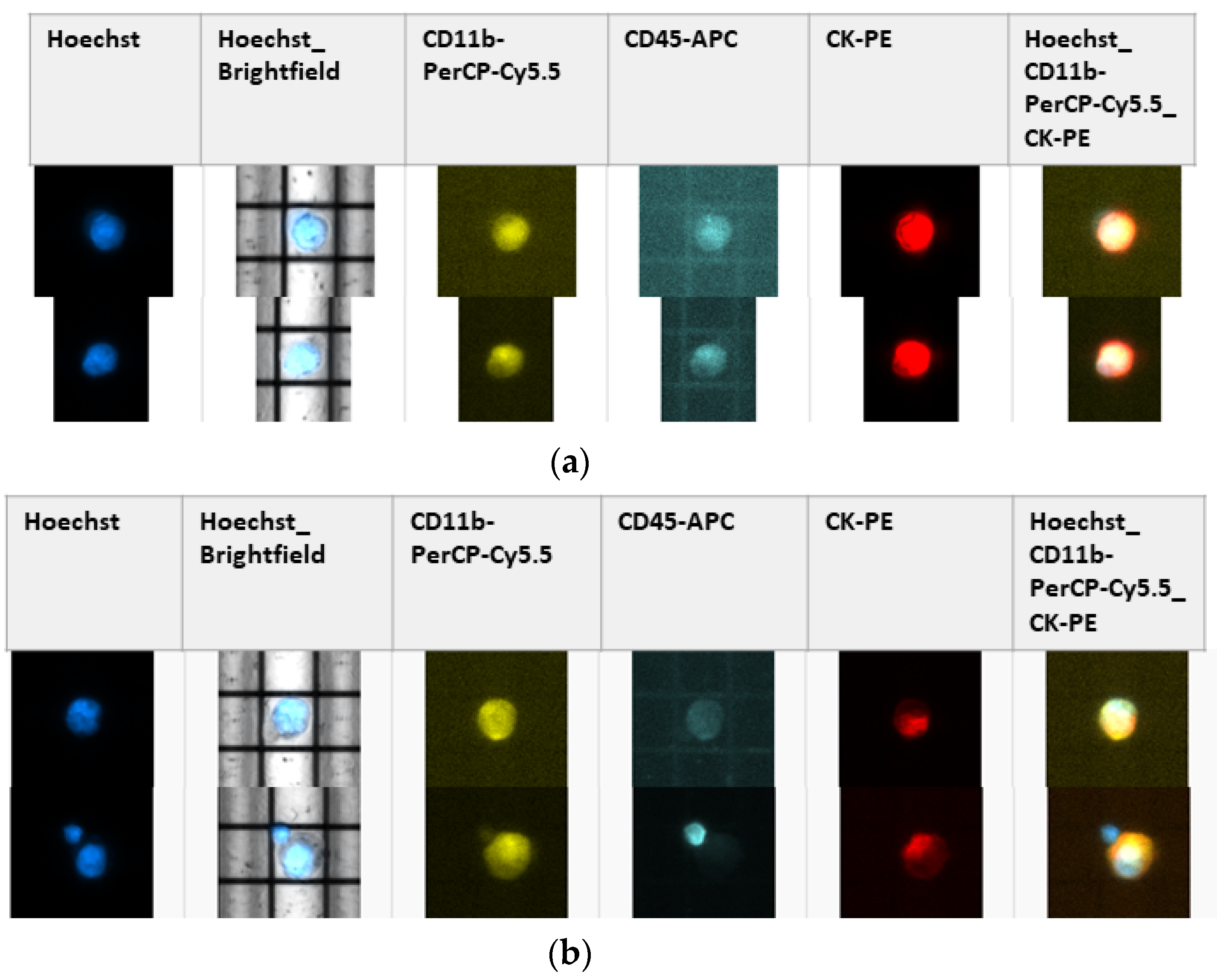 Cancers 13 03748 g0a3