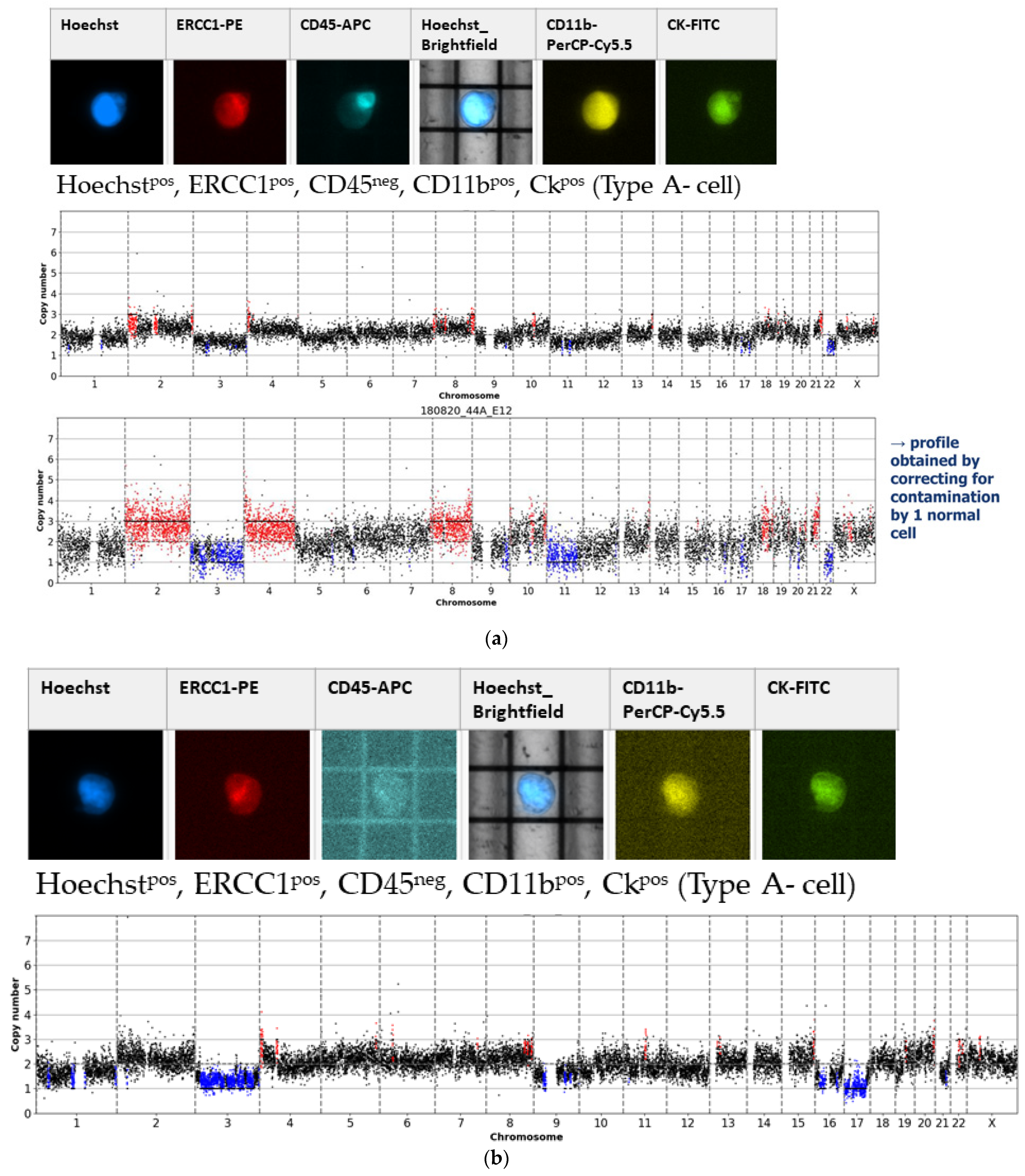 Cancers 13 03748 g0a5a