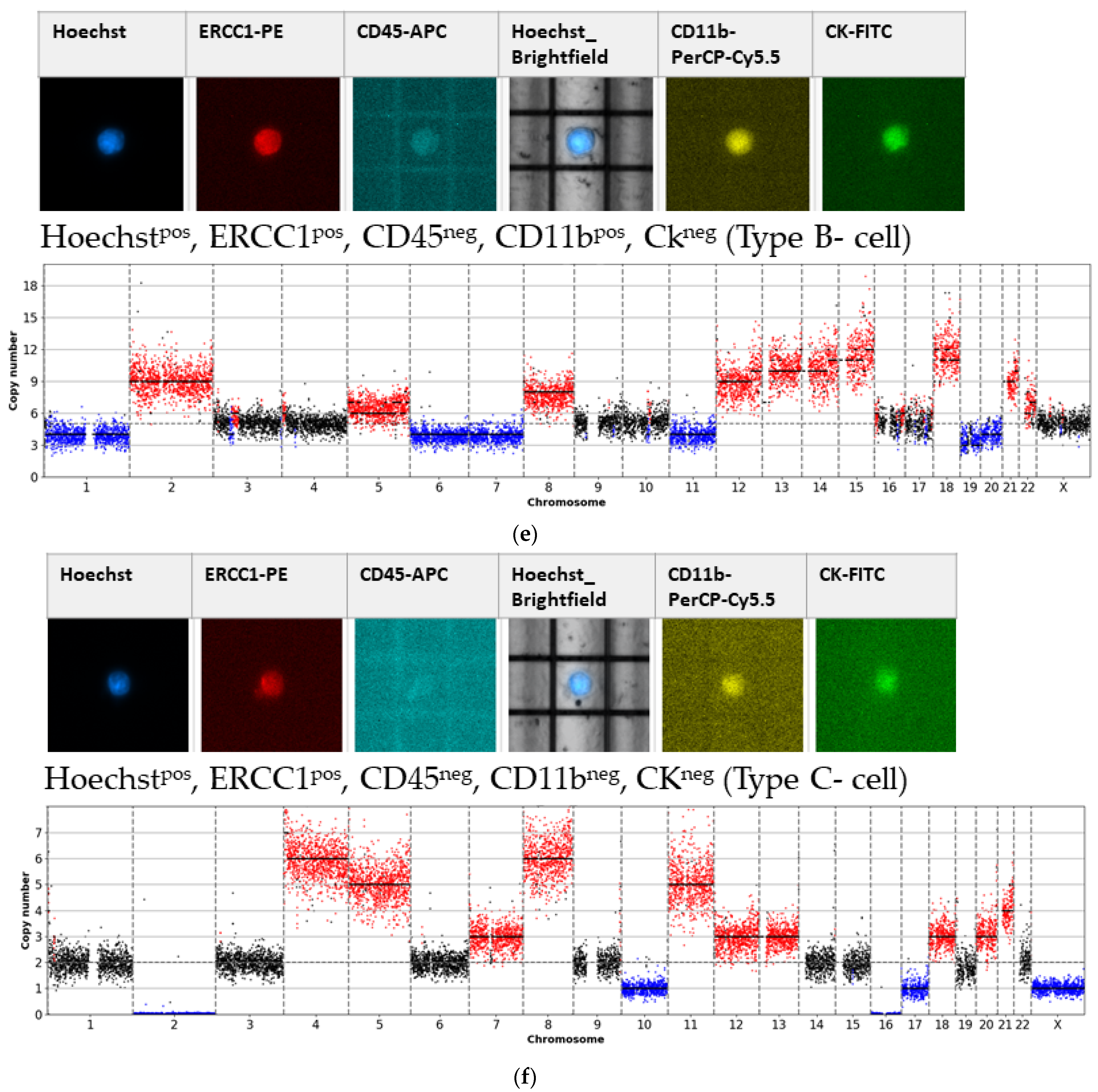 Cancers 13 03748 g0a5c