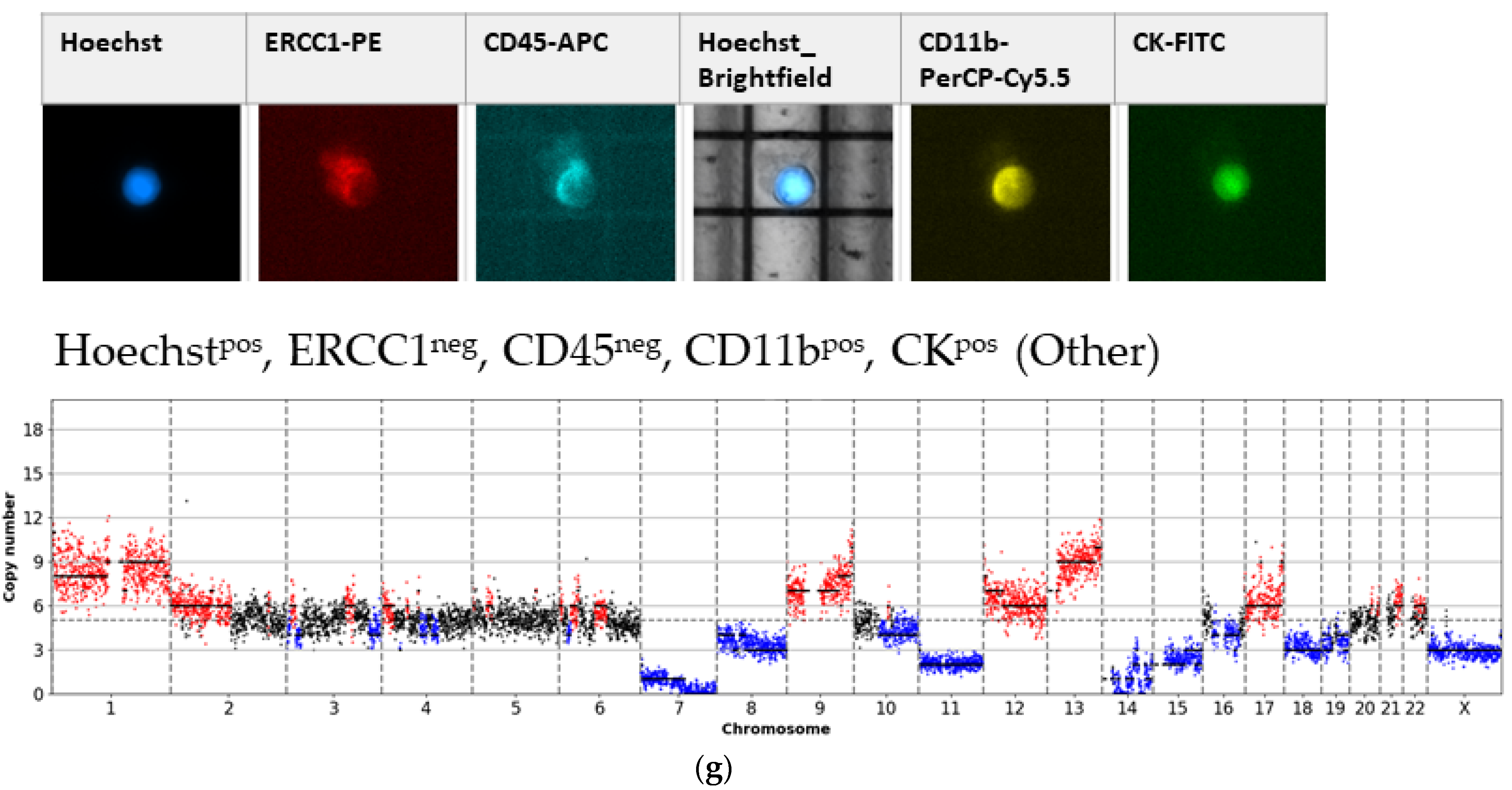 Cancers | Free Full-Text | Image-Based Identification And Genomic ...