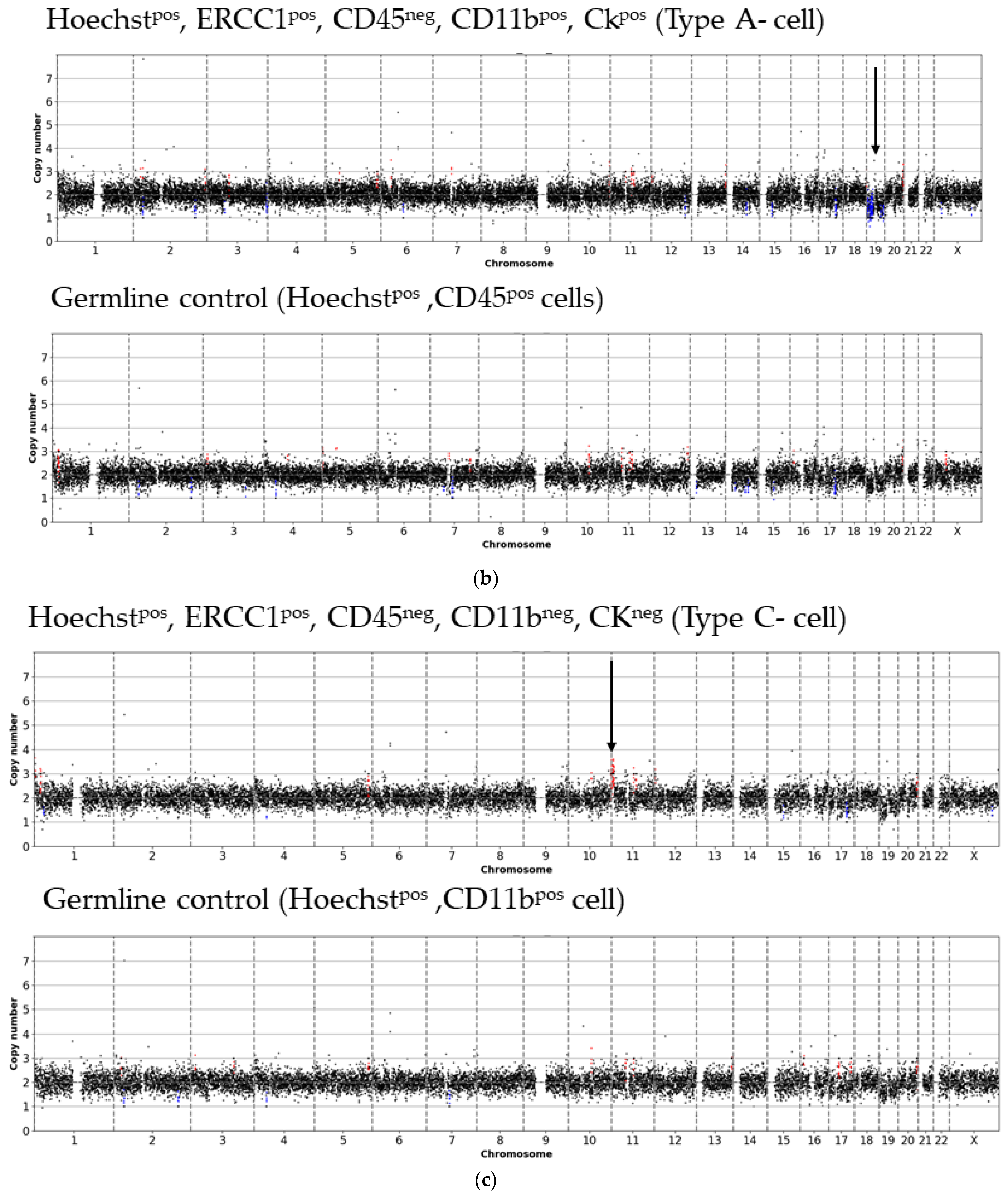 Cancers 13 03748 g0a6b