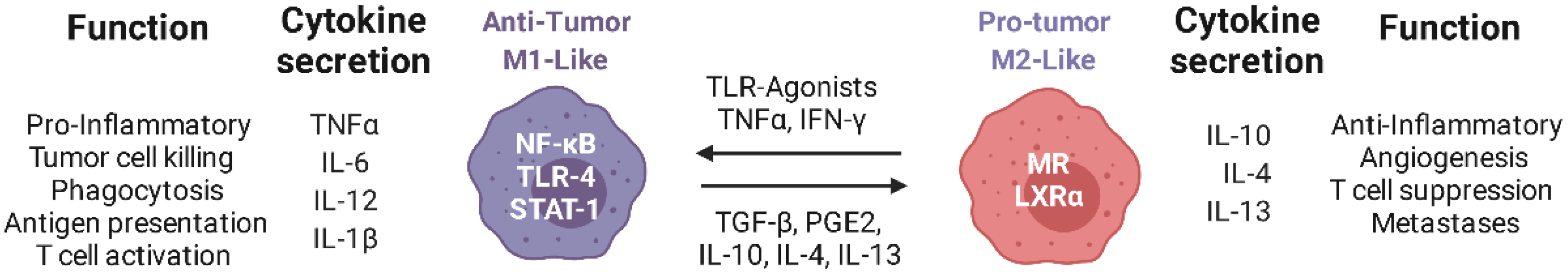 Cancers 13 03765 g001