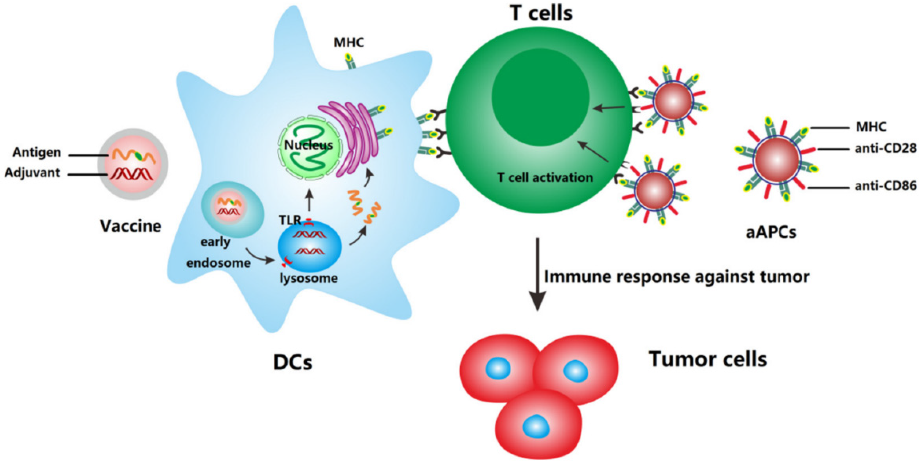 Cancers 13 03765 g002