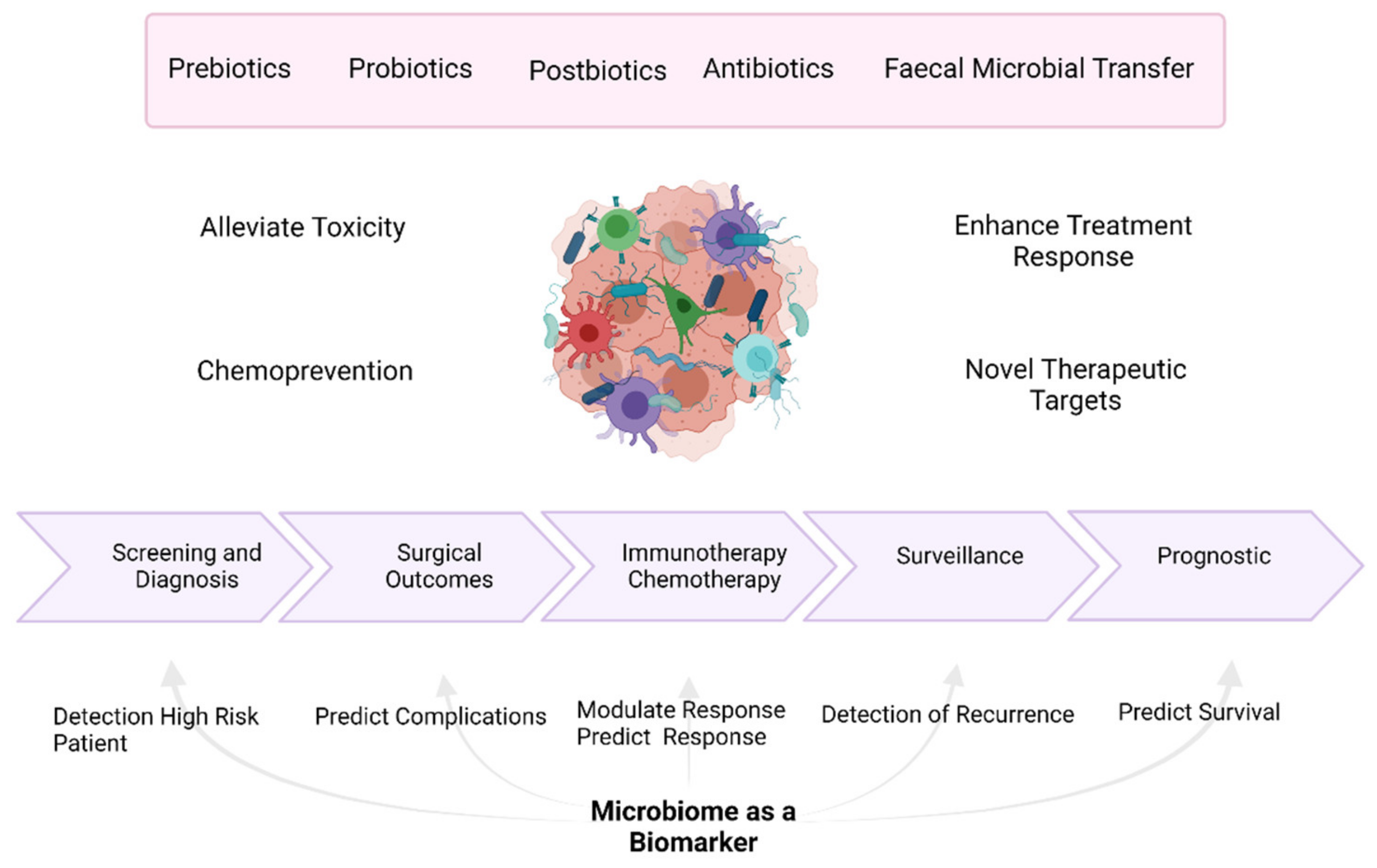 Cancers 13 03779 g002