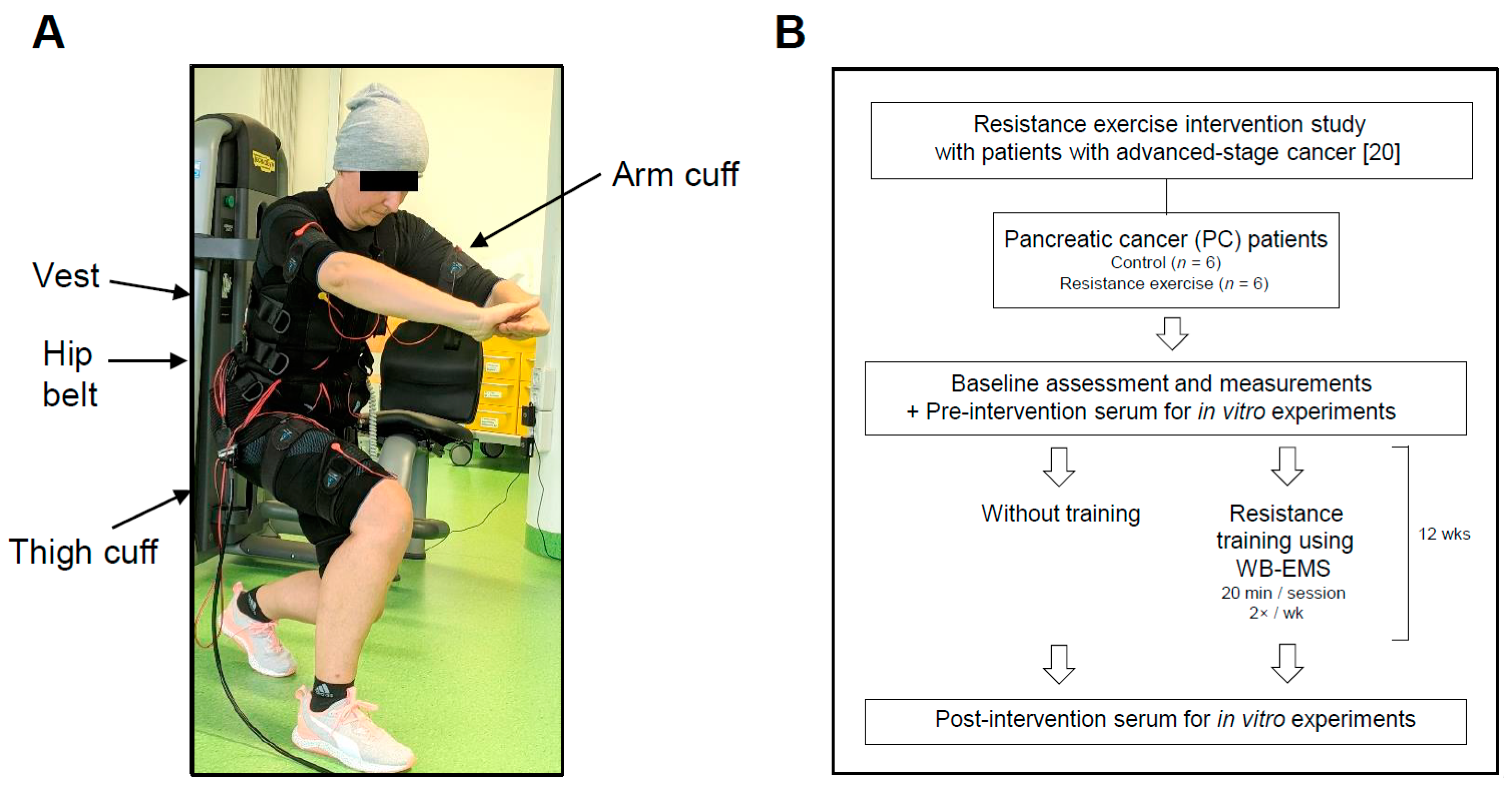 Cancers 13 03820 g001 Cancers 13 03820 g001