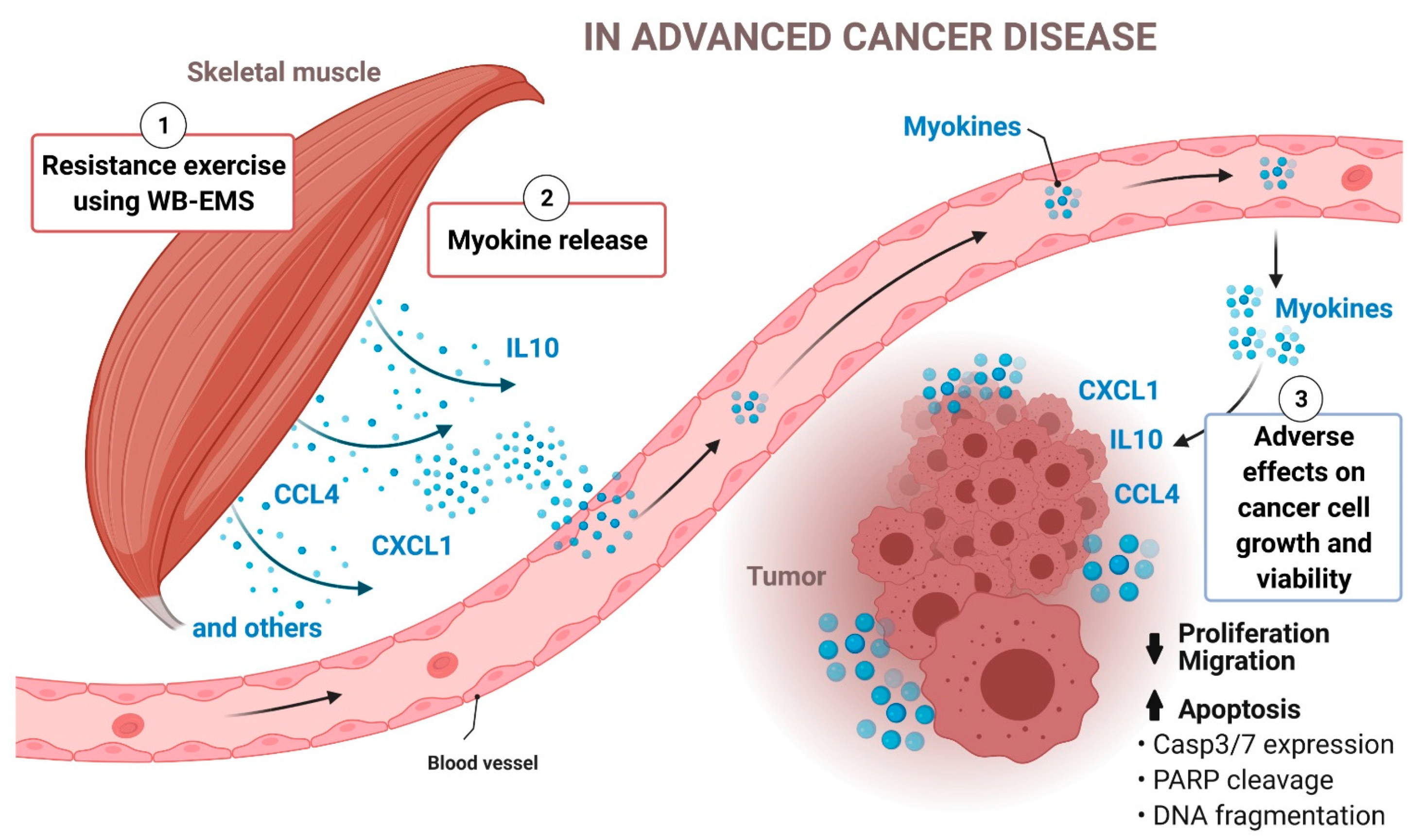 Cancers 13 03820 g007 Cancers 13 03820 g007