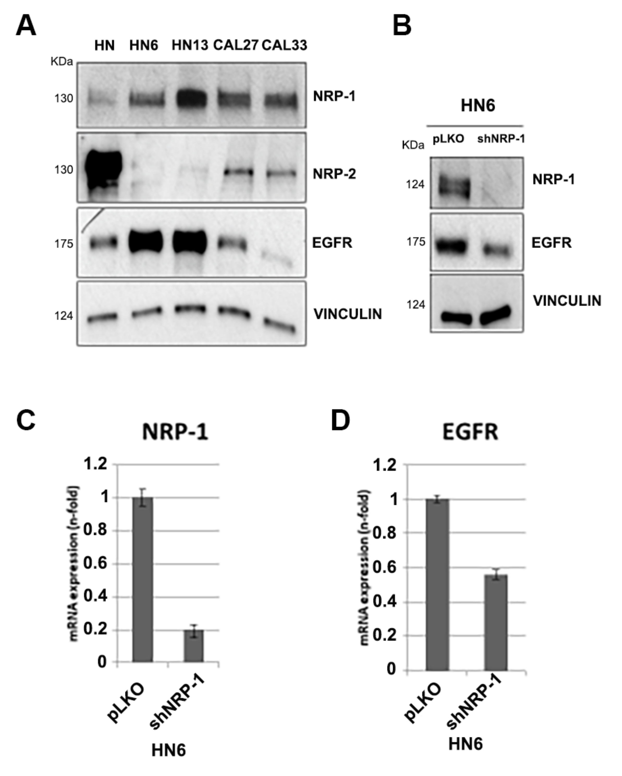 Cancers 13 03822 g002