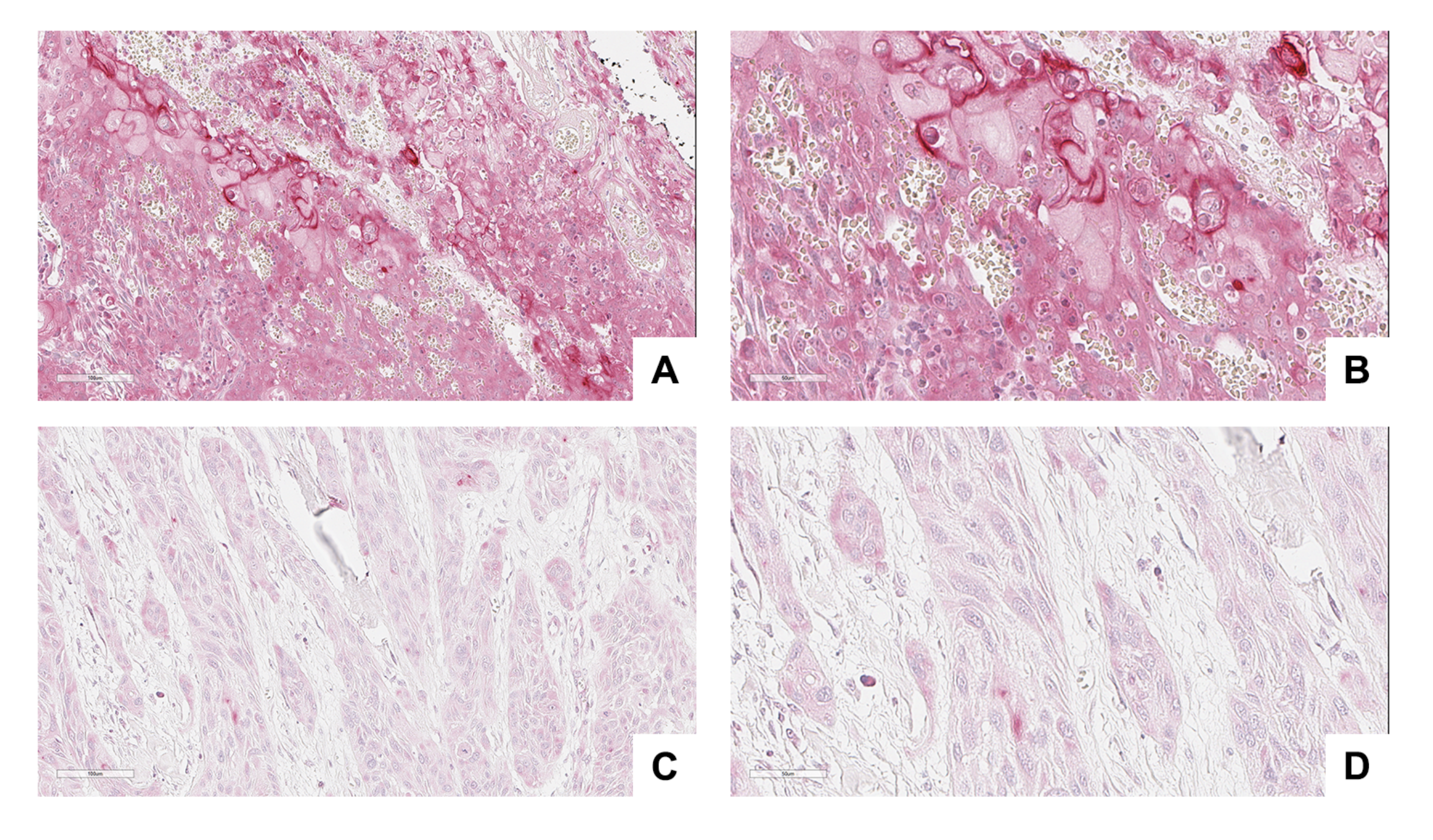 Cancers 13 03822 g006