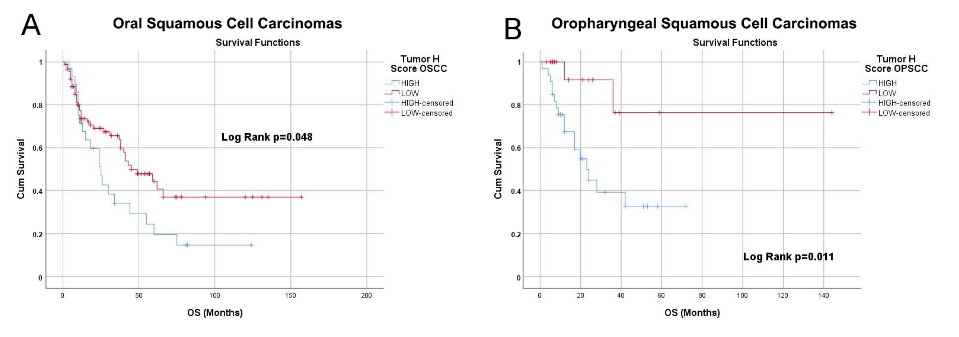 Cancers 13 03822 g007