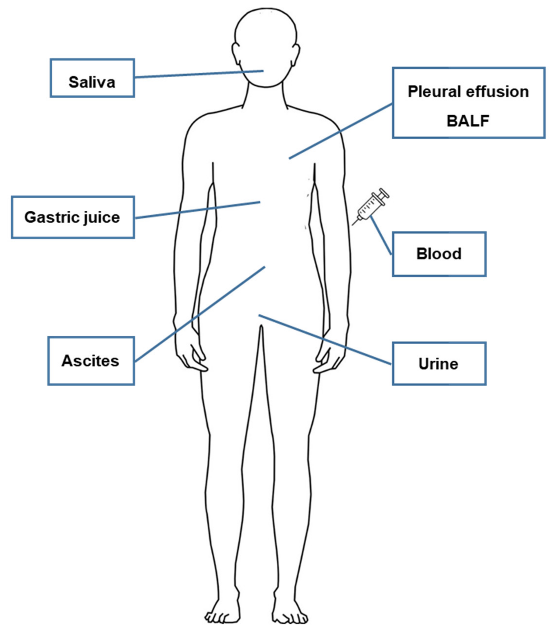 Cancers 13 03827 g003