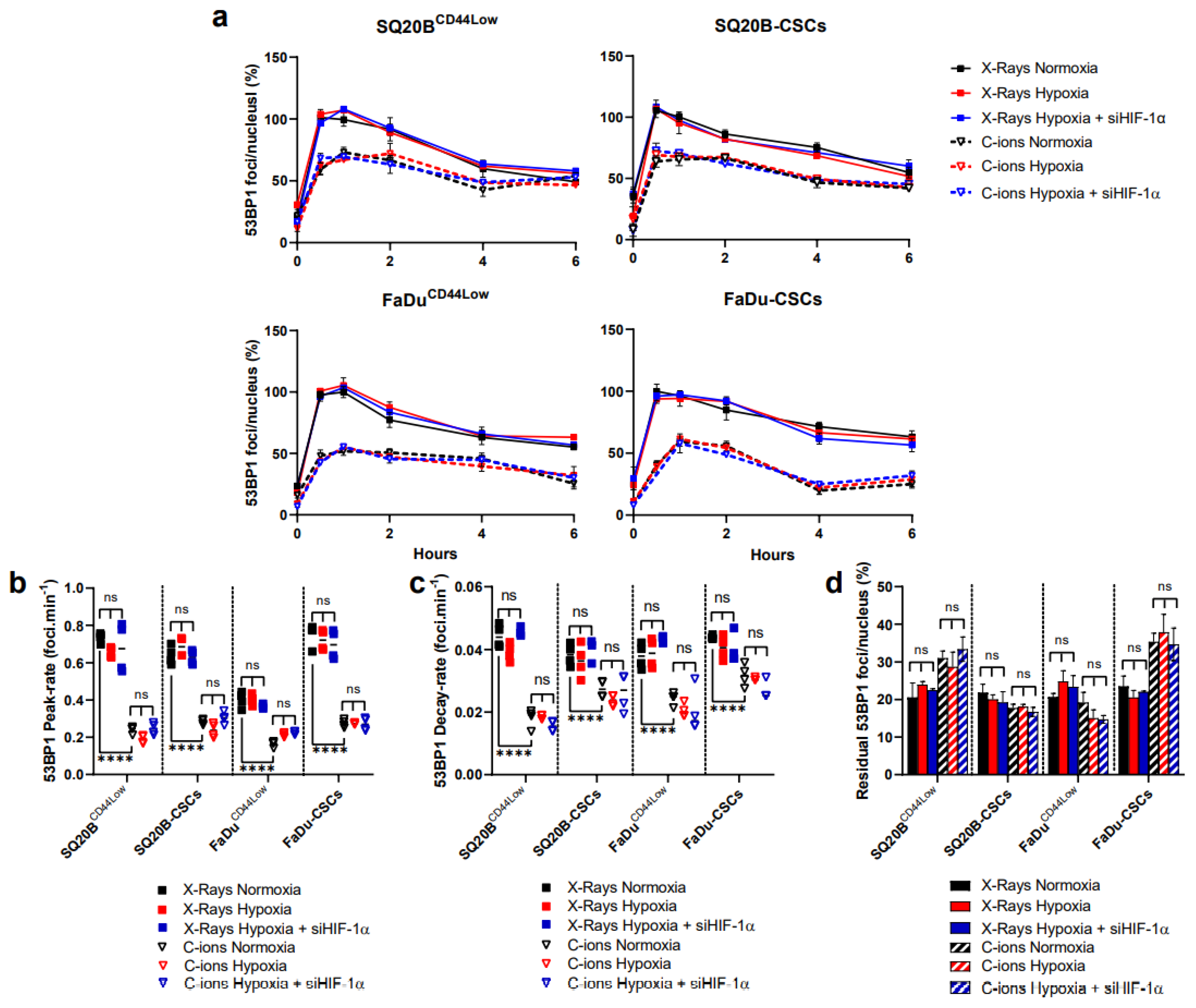 Cancers 13 03833 g004