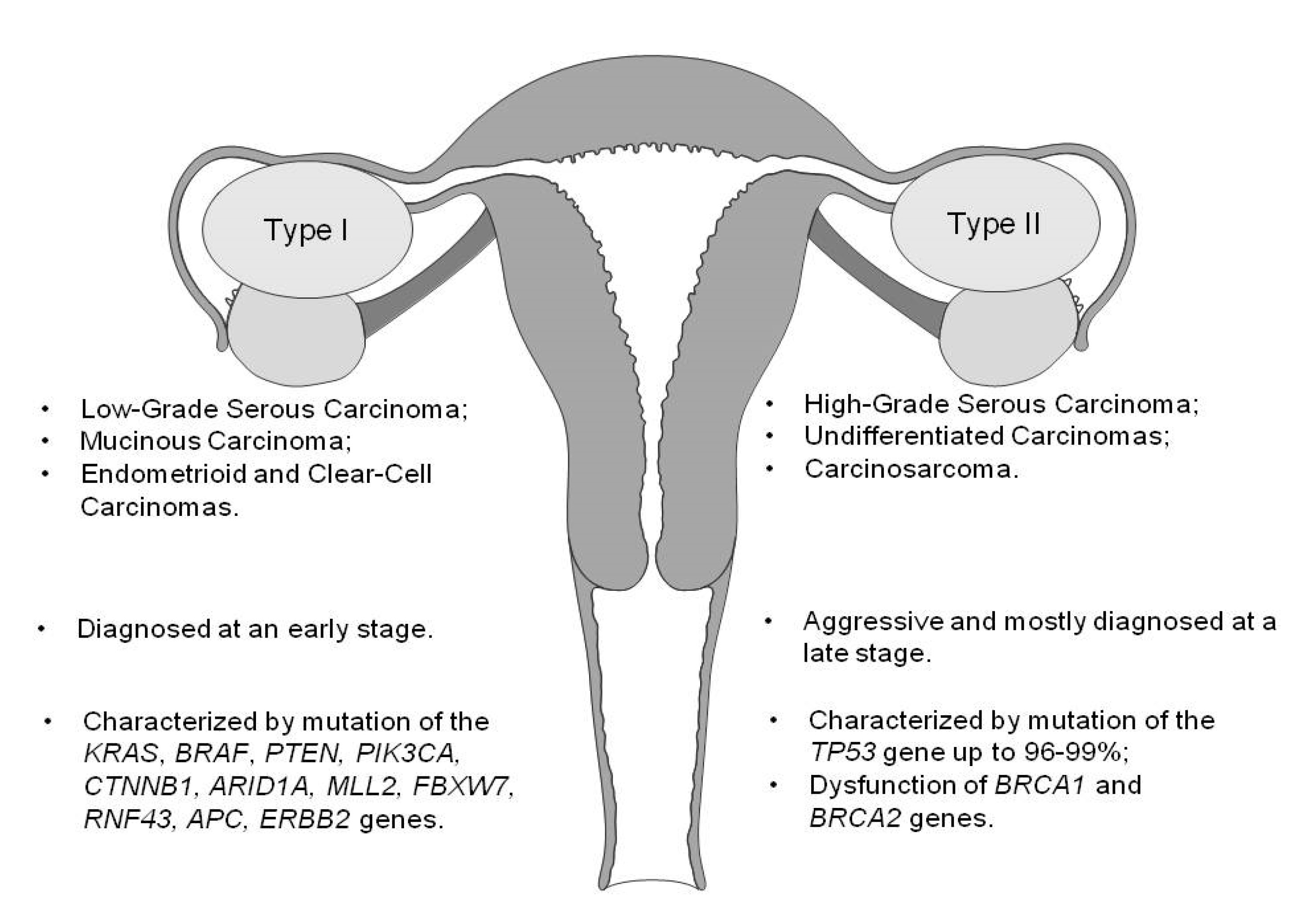 Cancers | Free Full-Text | Future Screening Prospects for Ovarian Cancer