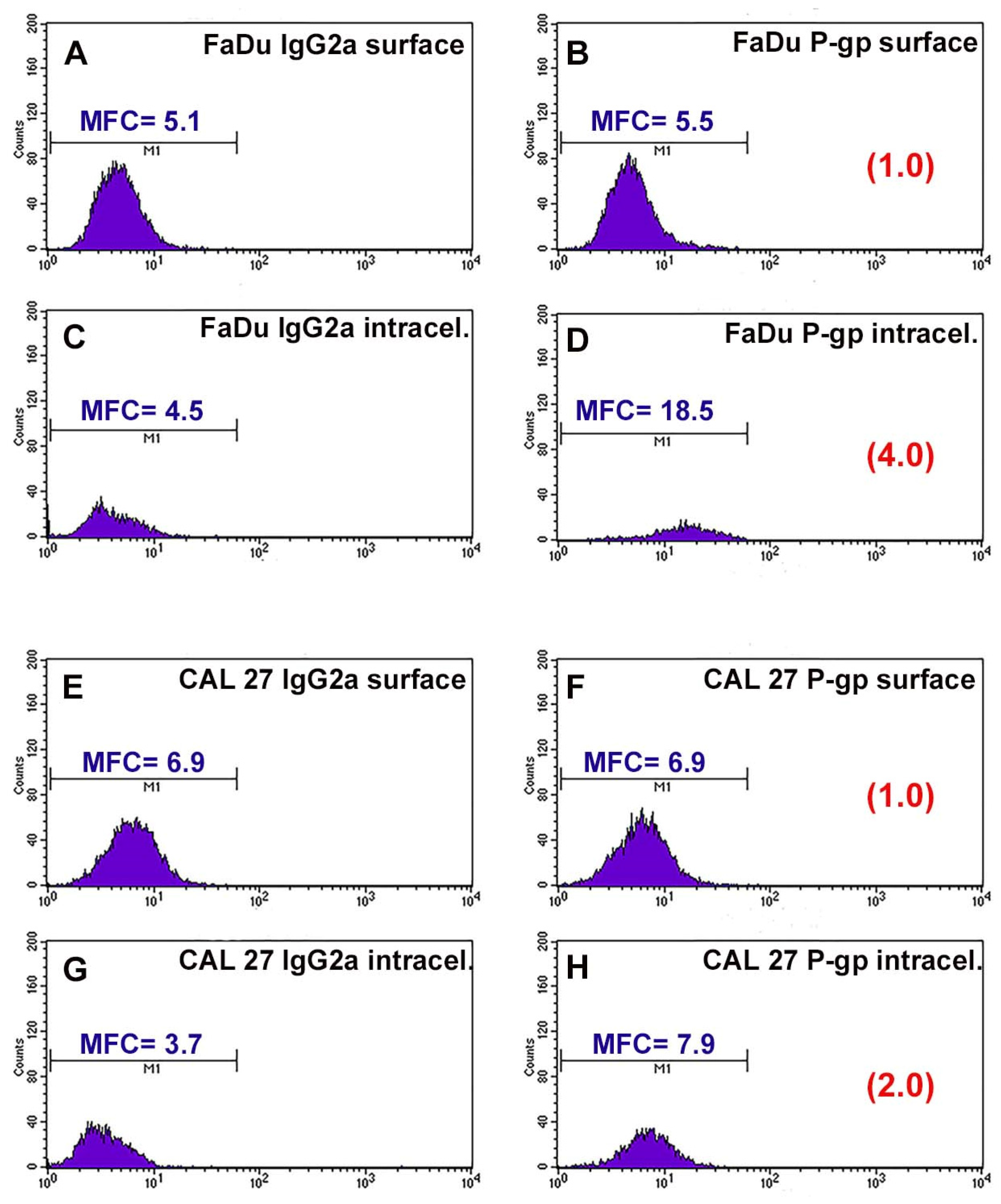 Cancers 13 03867 g001