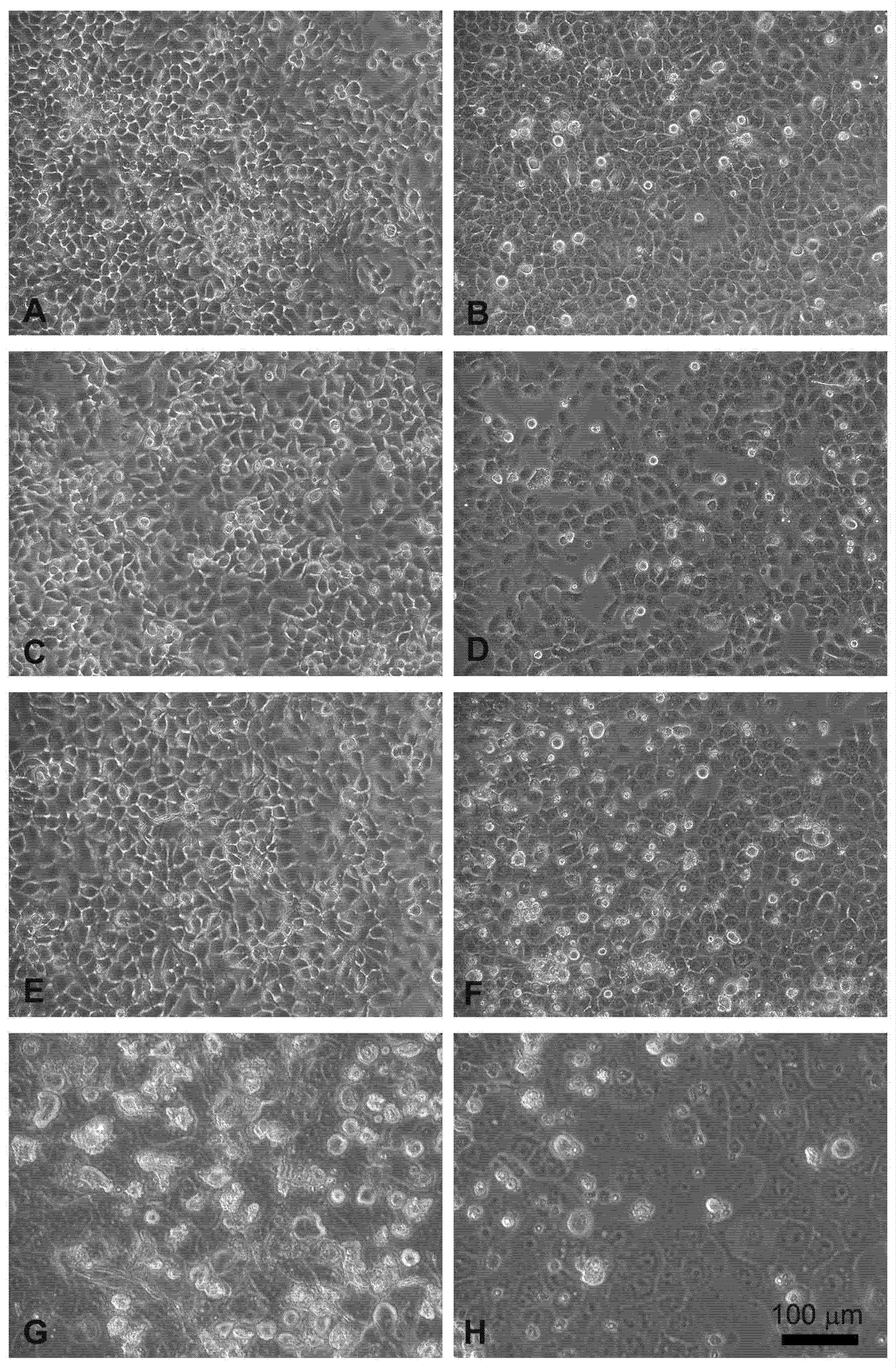 Cancers 13 03867 g004