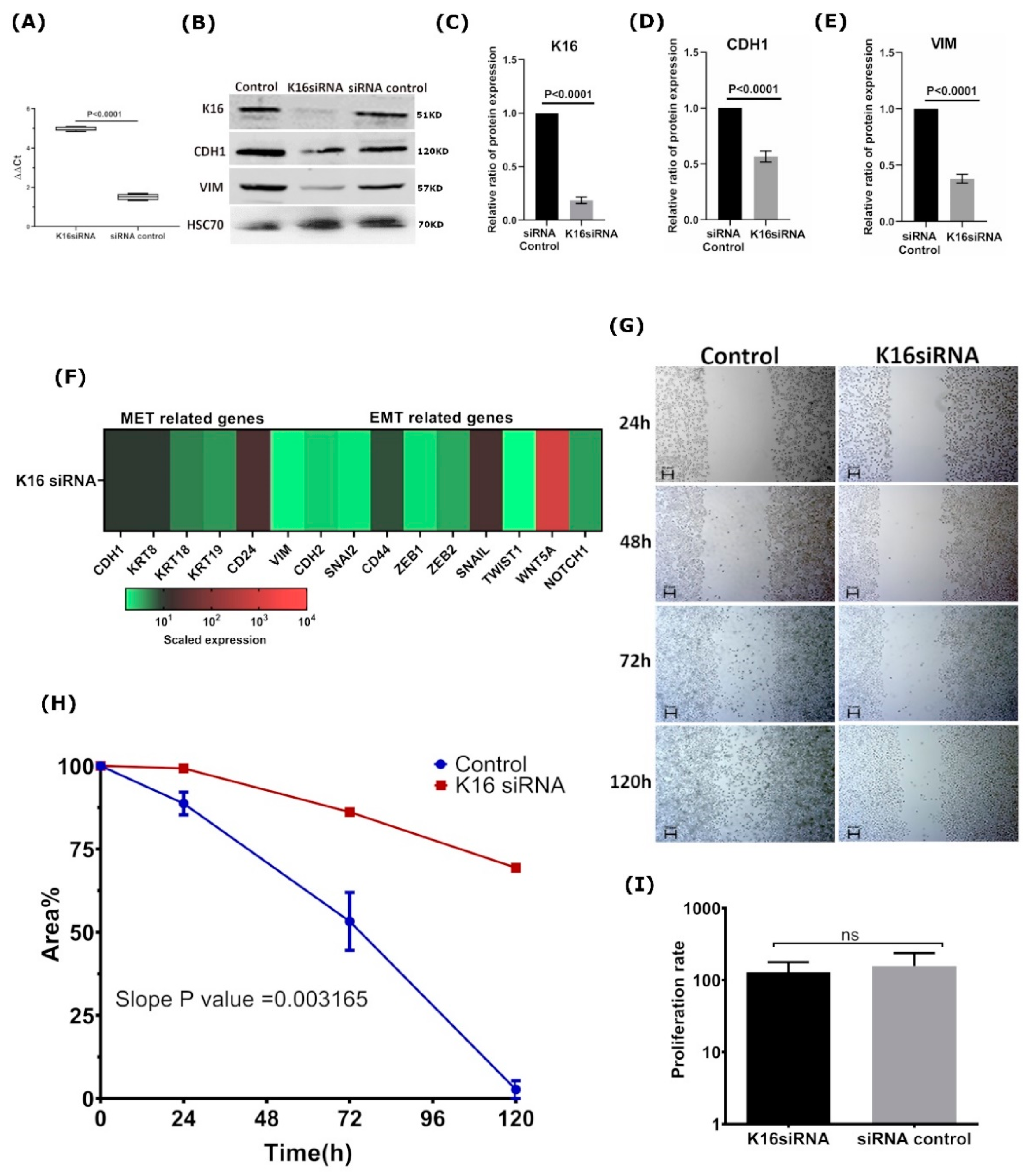 Cancers 13 03869 g004