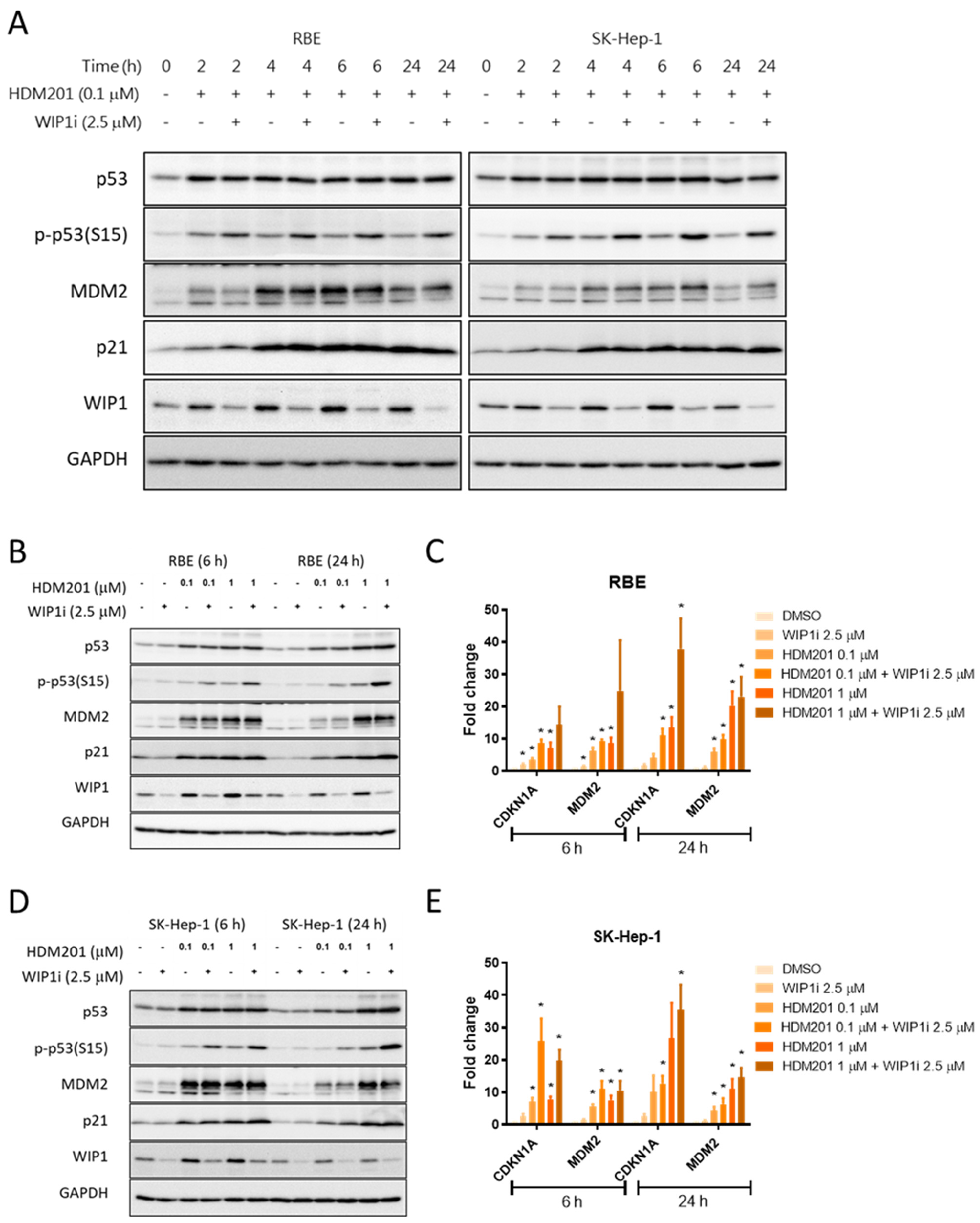 Cancers 13 03876 g004