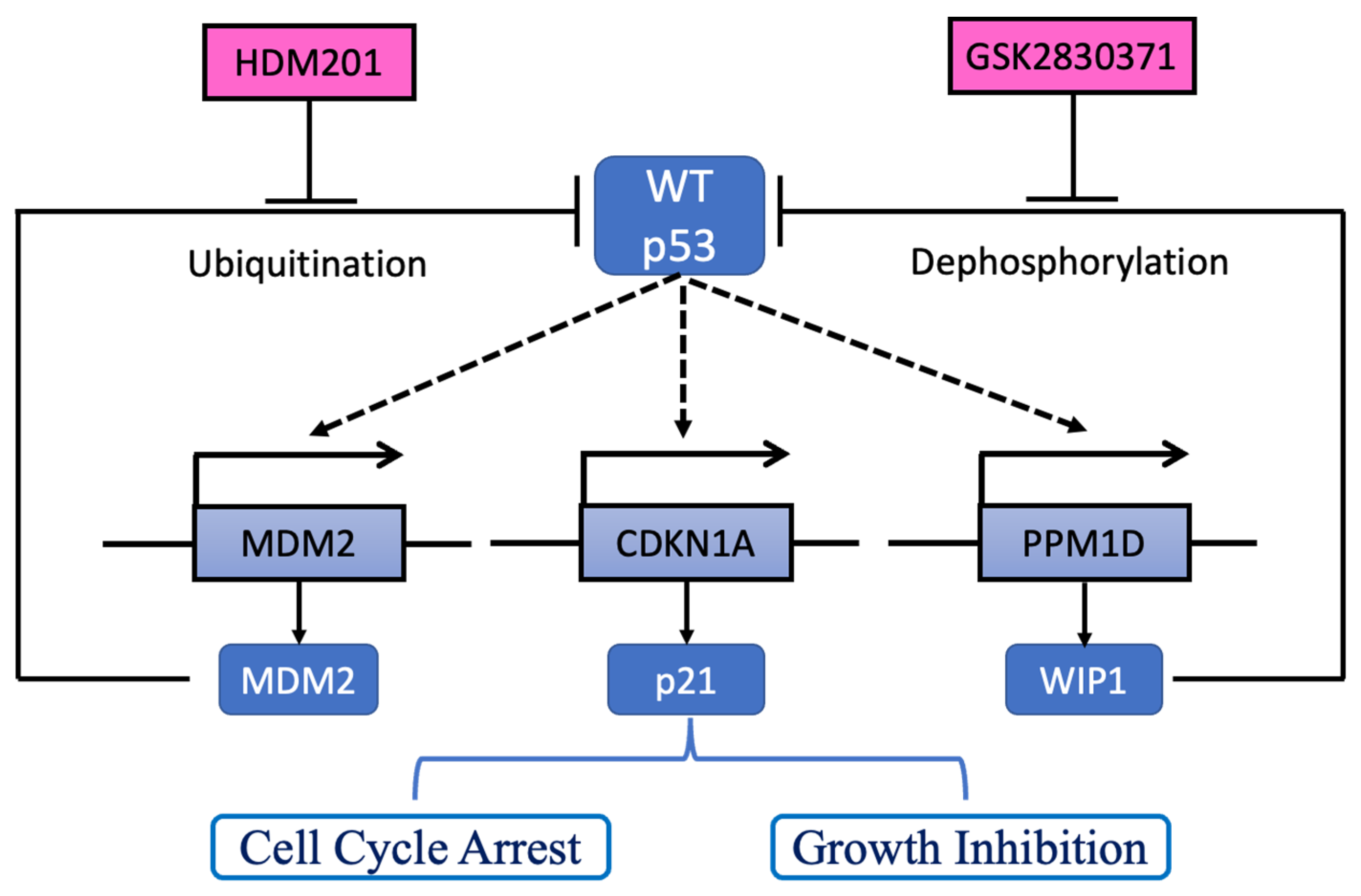 Cancers 13 03876 g007