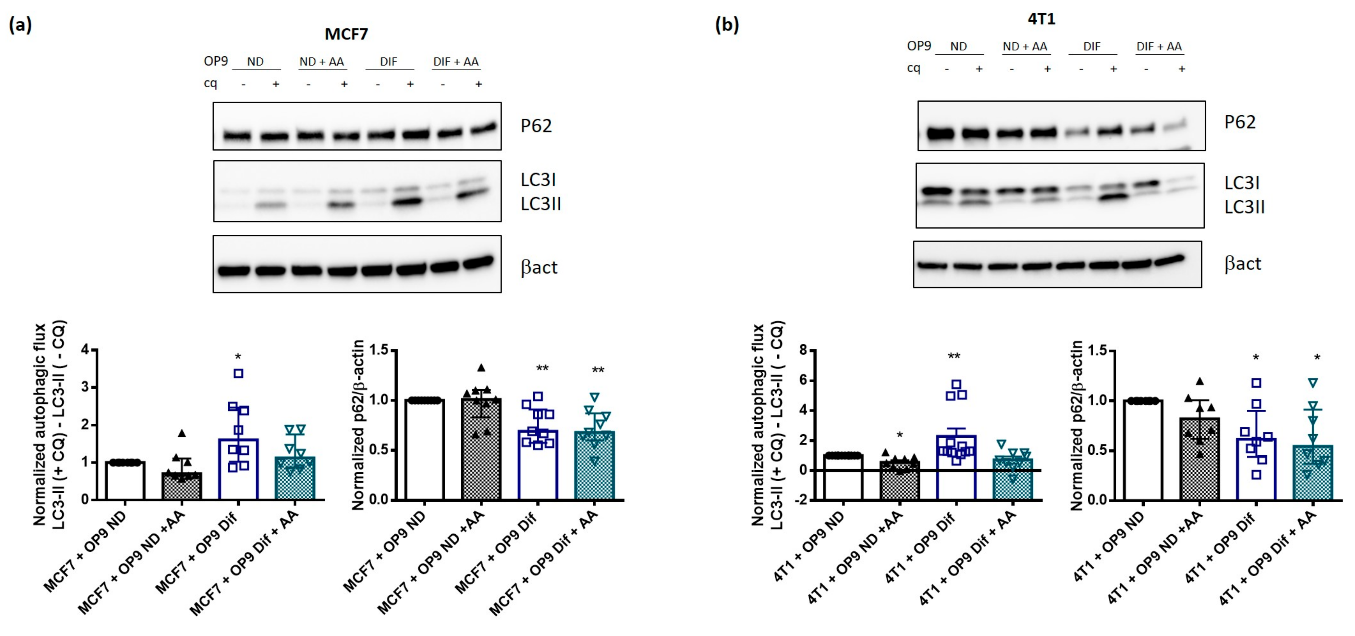 Cancers 13 03917 g004