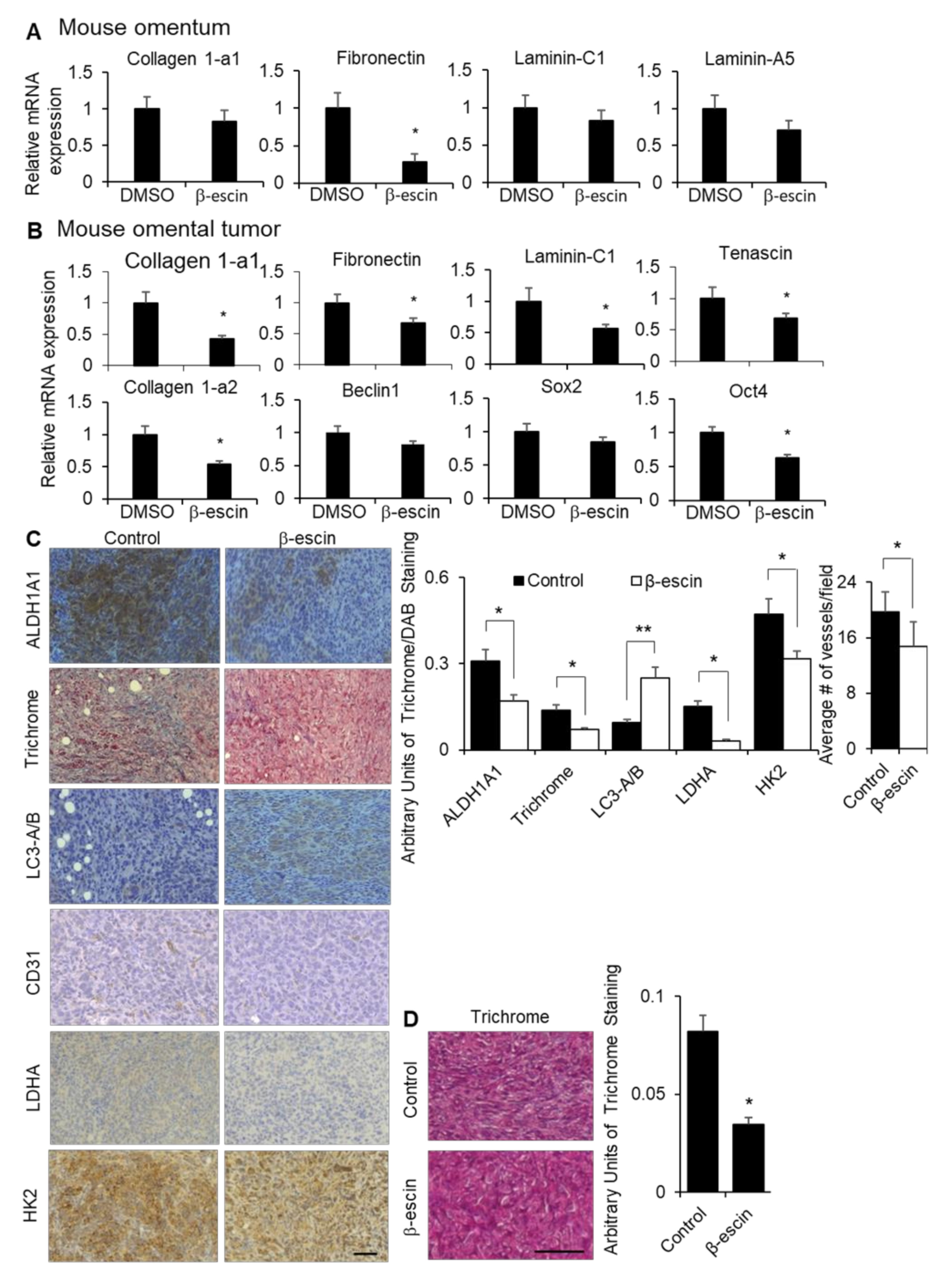 Cancers Free Full Text The Natural Product B Escin Targets Cancer And Stromal Cells Of The Tumor Microenvironment To Inhibit Ovarian Cancer Metastasis Html