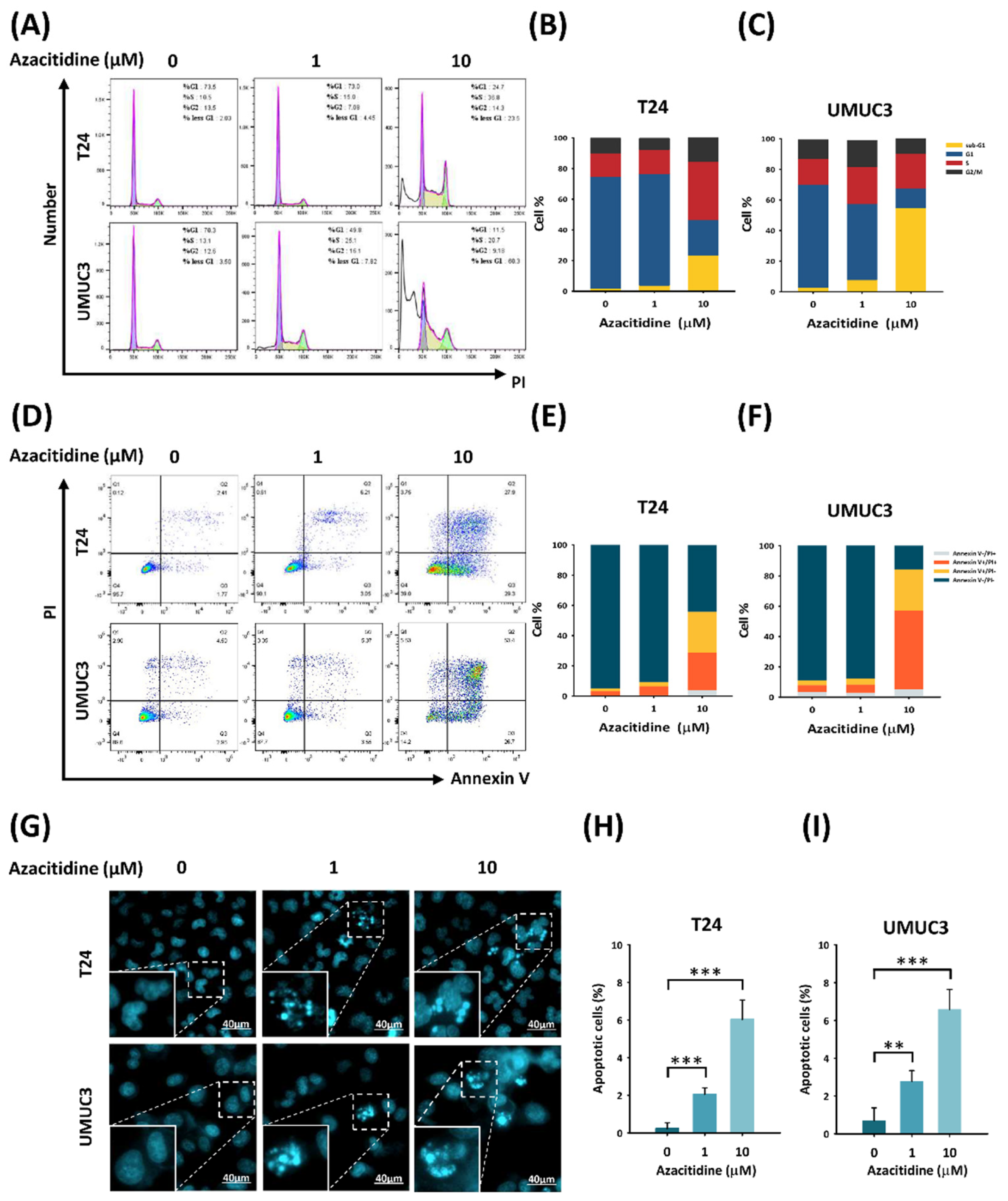 Cancers 13 03933 g002 Cancers 13 03933 g002