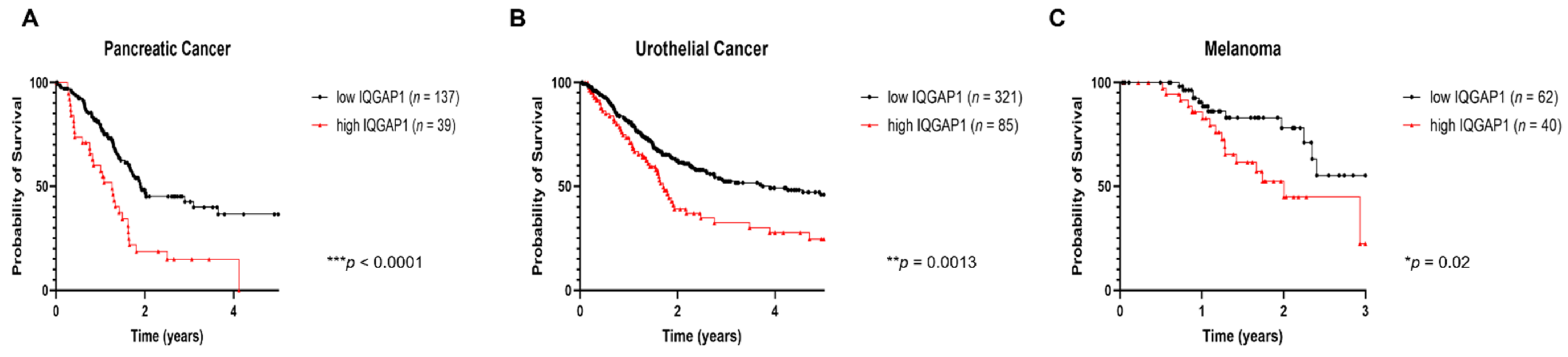 Cancers | Free Full-Text | Role of IQGAP1 in Carcinogenesis