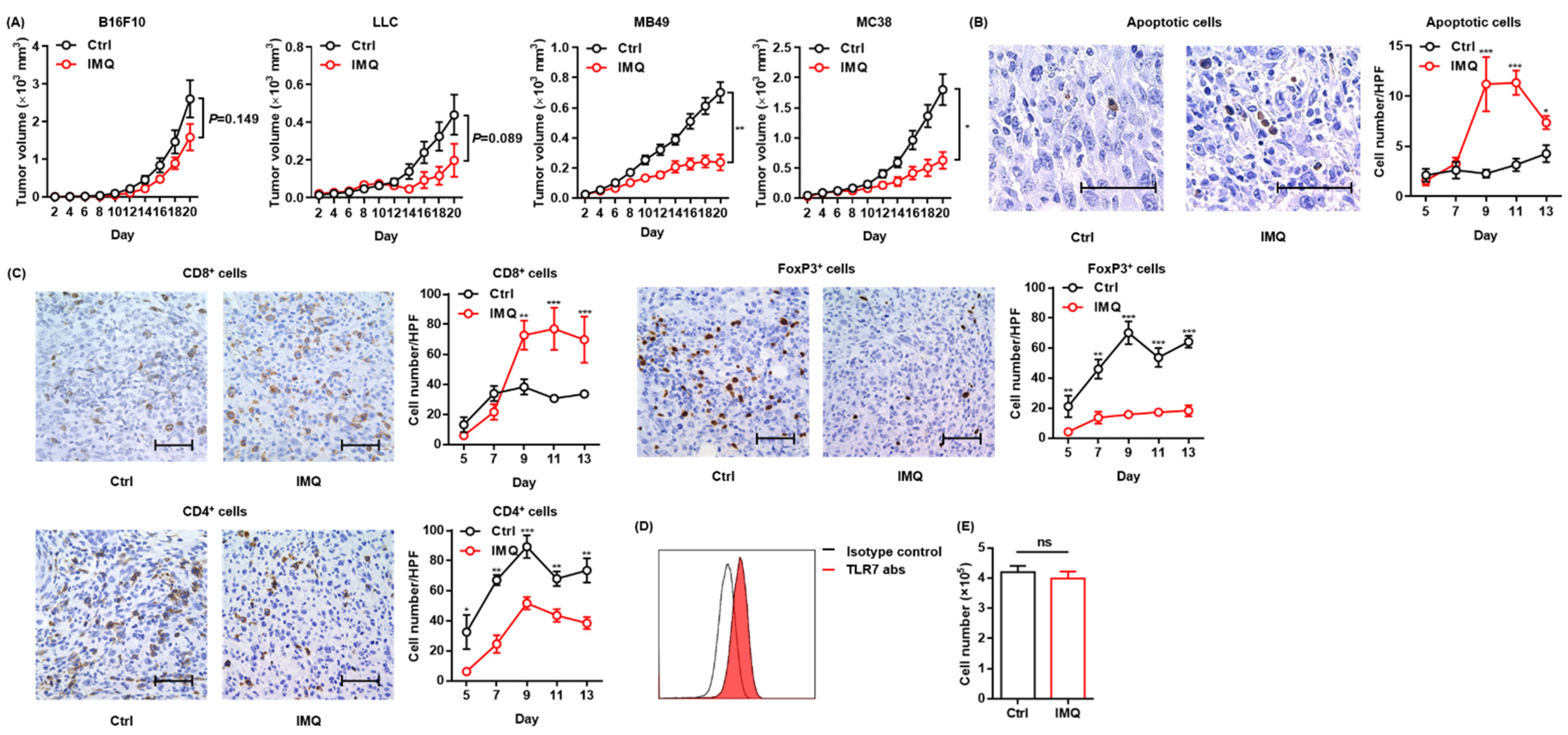 Cancers 13 03948 g001