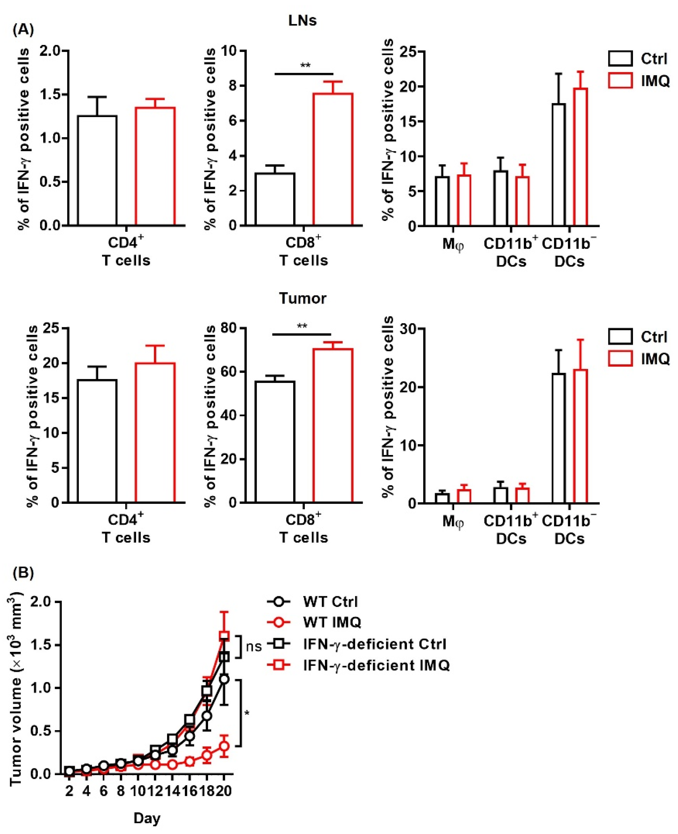 Cancers 13 03948 g004