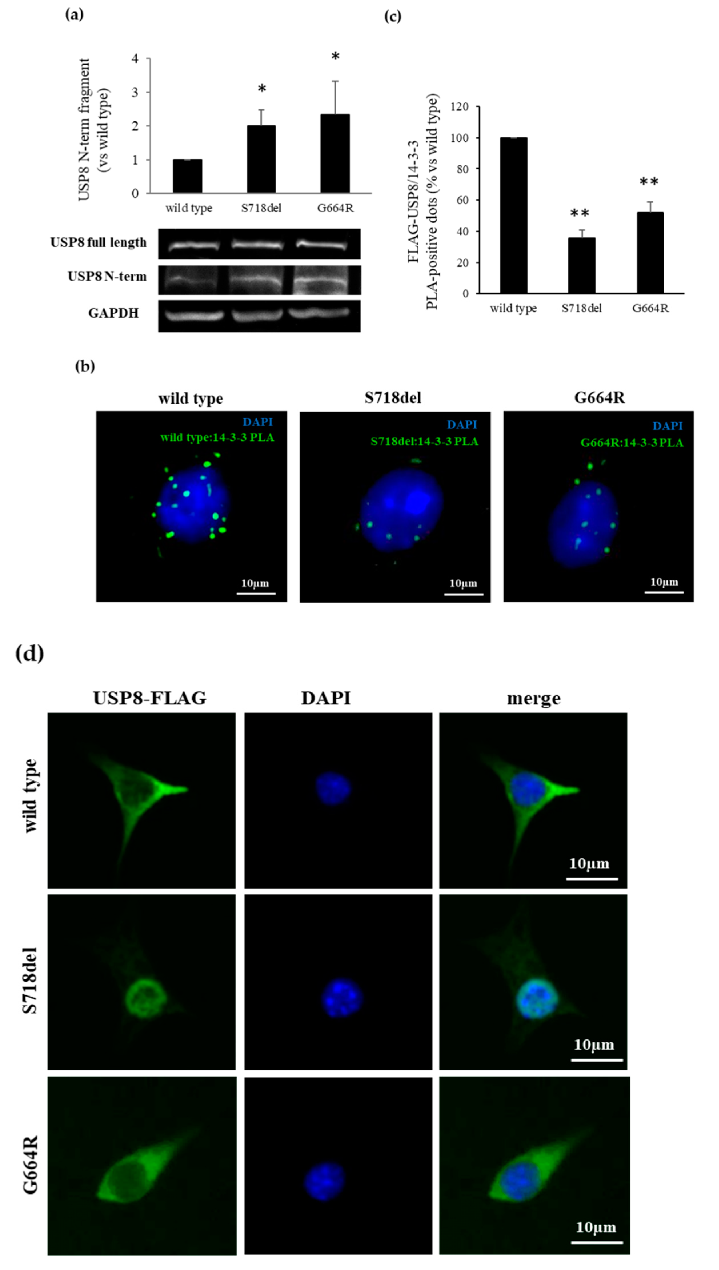 Cancers 13 04022 g003