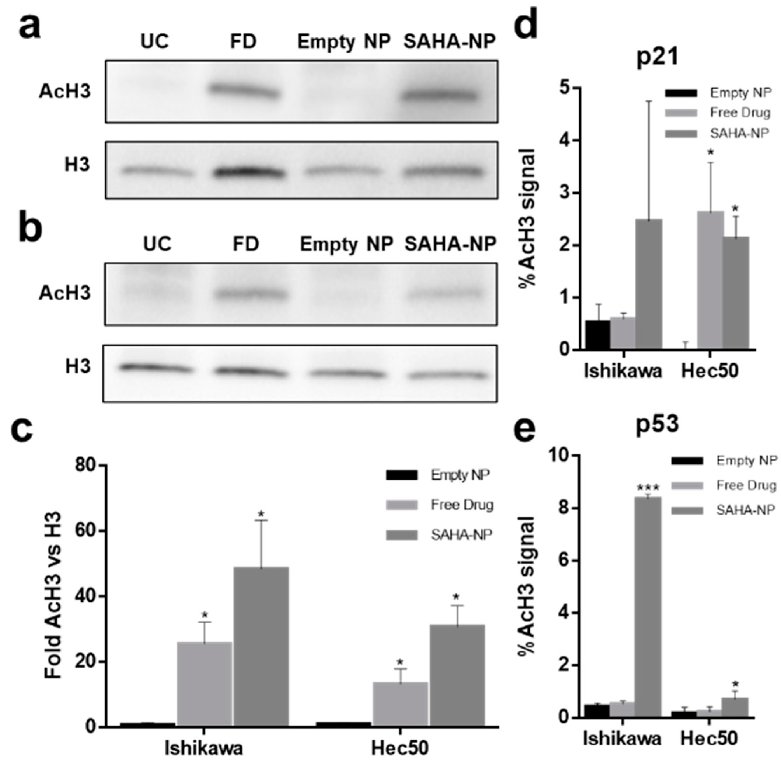 Cancers 13 04032 g005