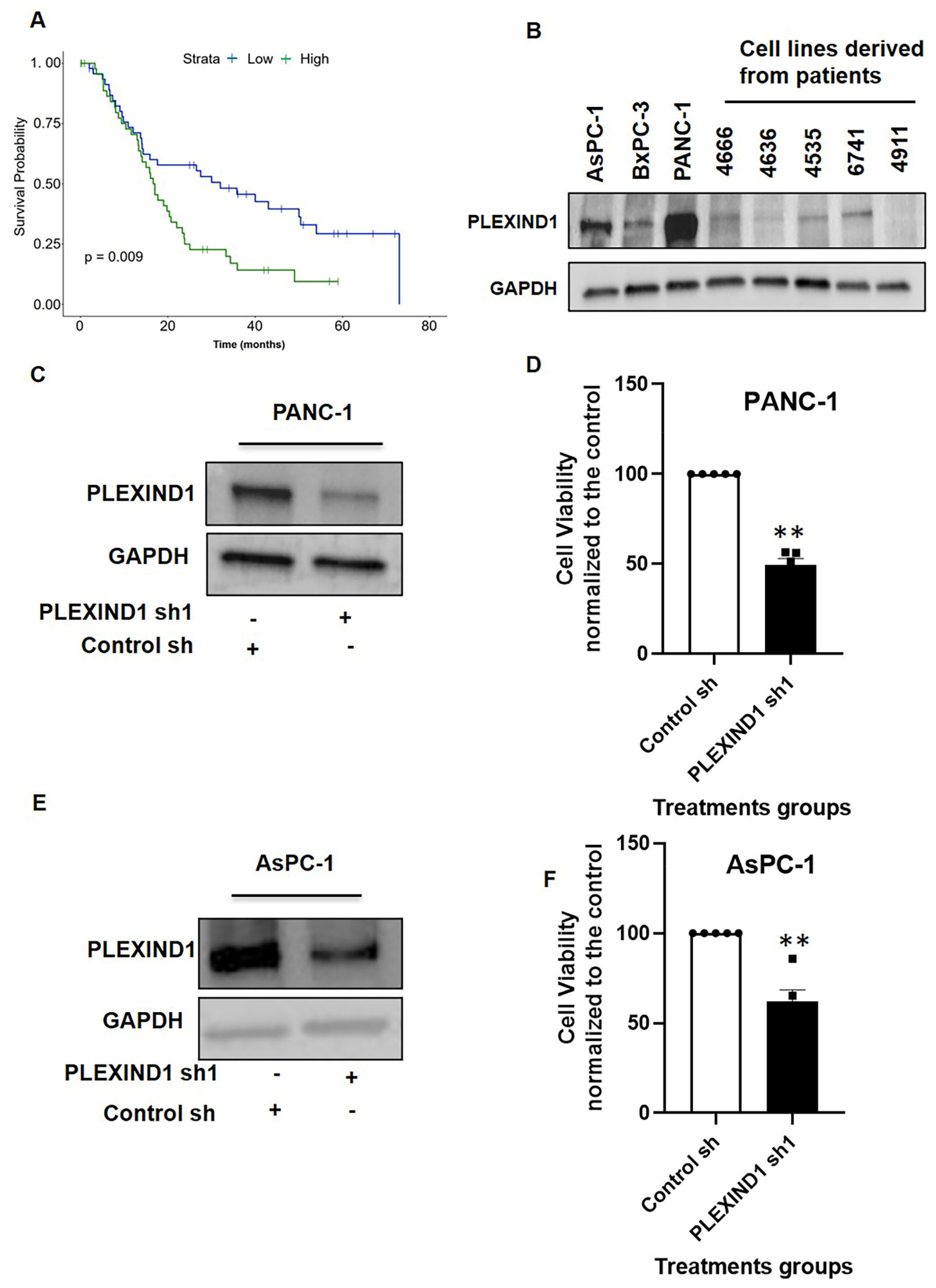 Cancers Free Full Text Role Of Plexind1 Tgfb Signaling Axis In Pancreatic Ductal Adenocarcinoma Progression Correlates With The Mutational Status Of Kras Html