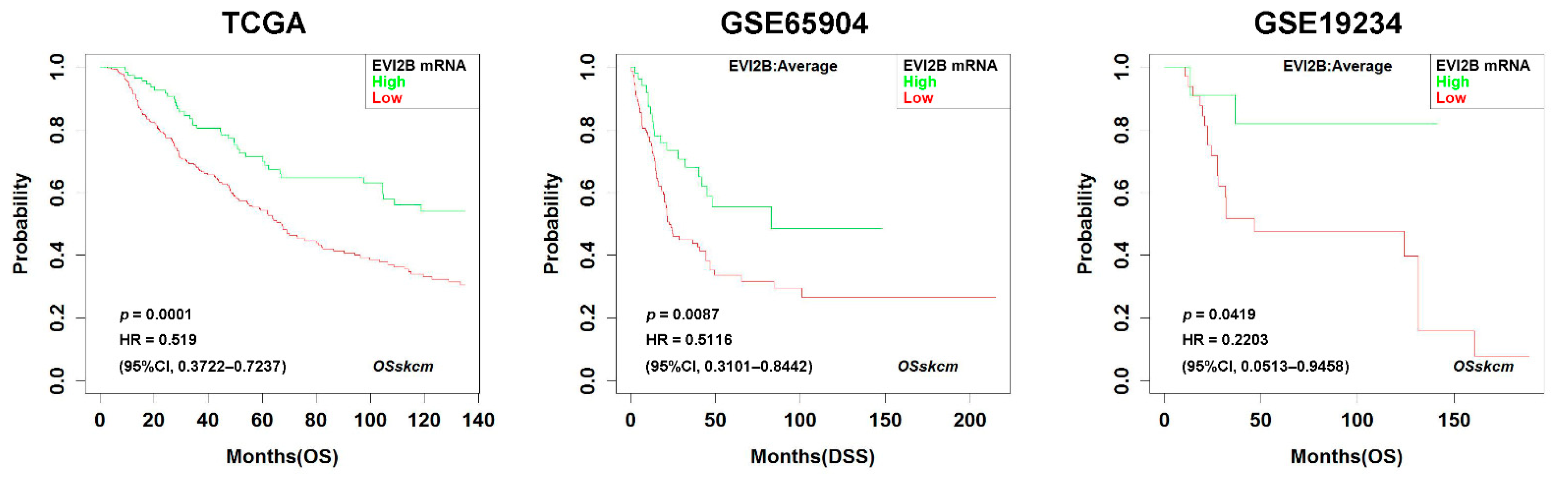 Cancers 13 04110 g001