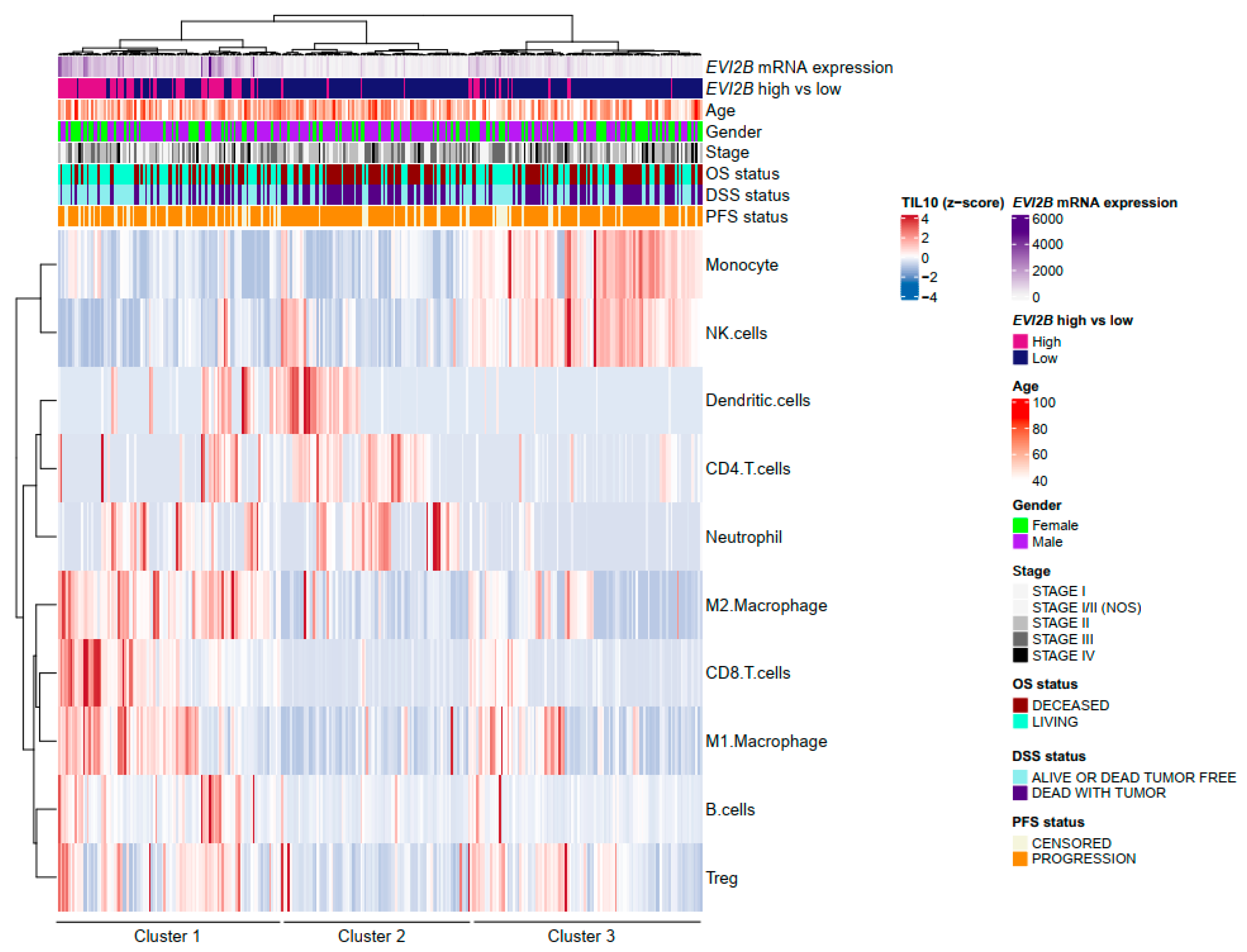 Cancers 13 04110 g003