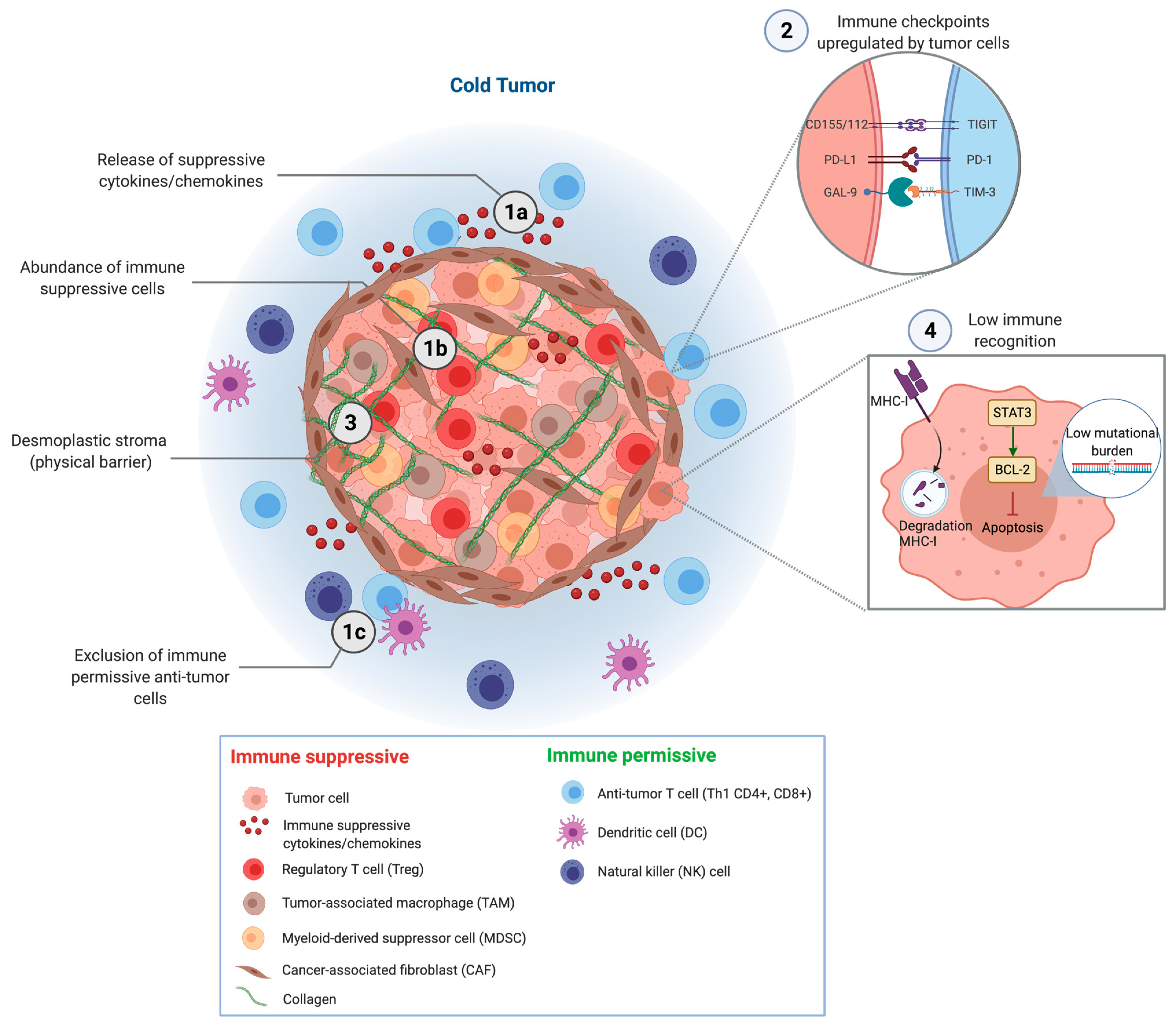Cancers | Free Full-Text | Pancreatic Cancer and Immunotherapy: A Clinical  Overview | HTML