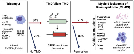 Cancers | Free Full-Text | The Mutational Landscape of Myeloid