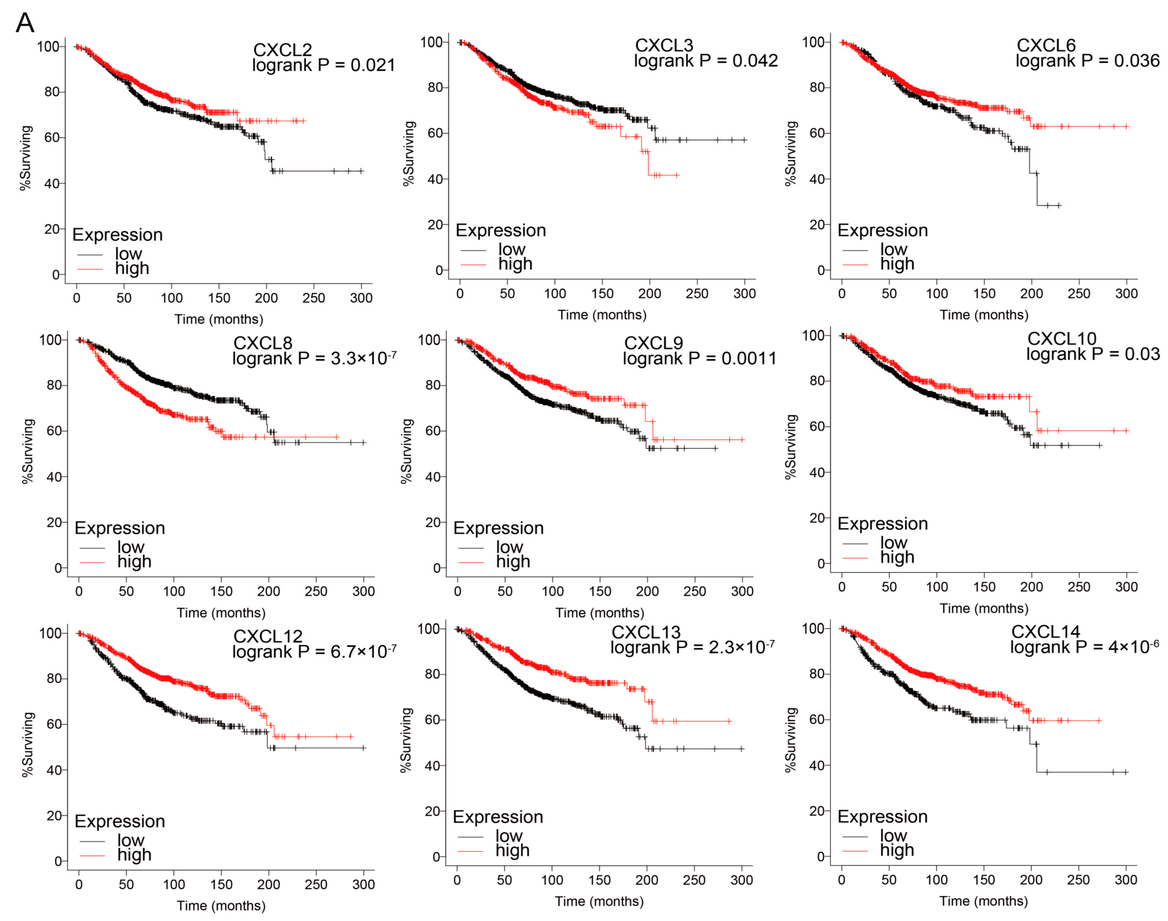 Cancers 13 04153 g007a
