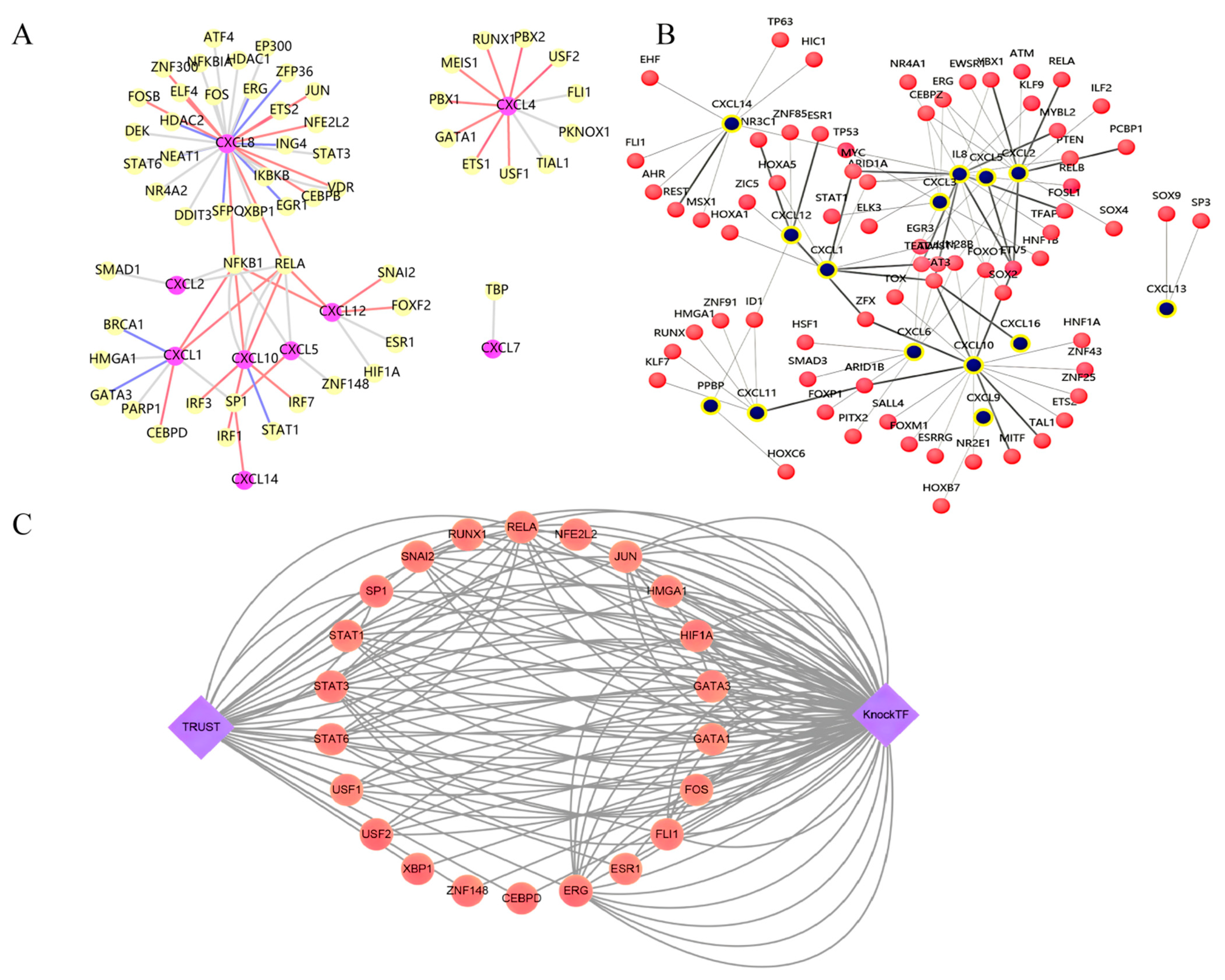 Cancers 13 04153 g008