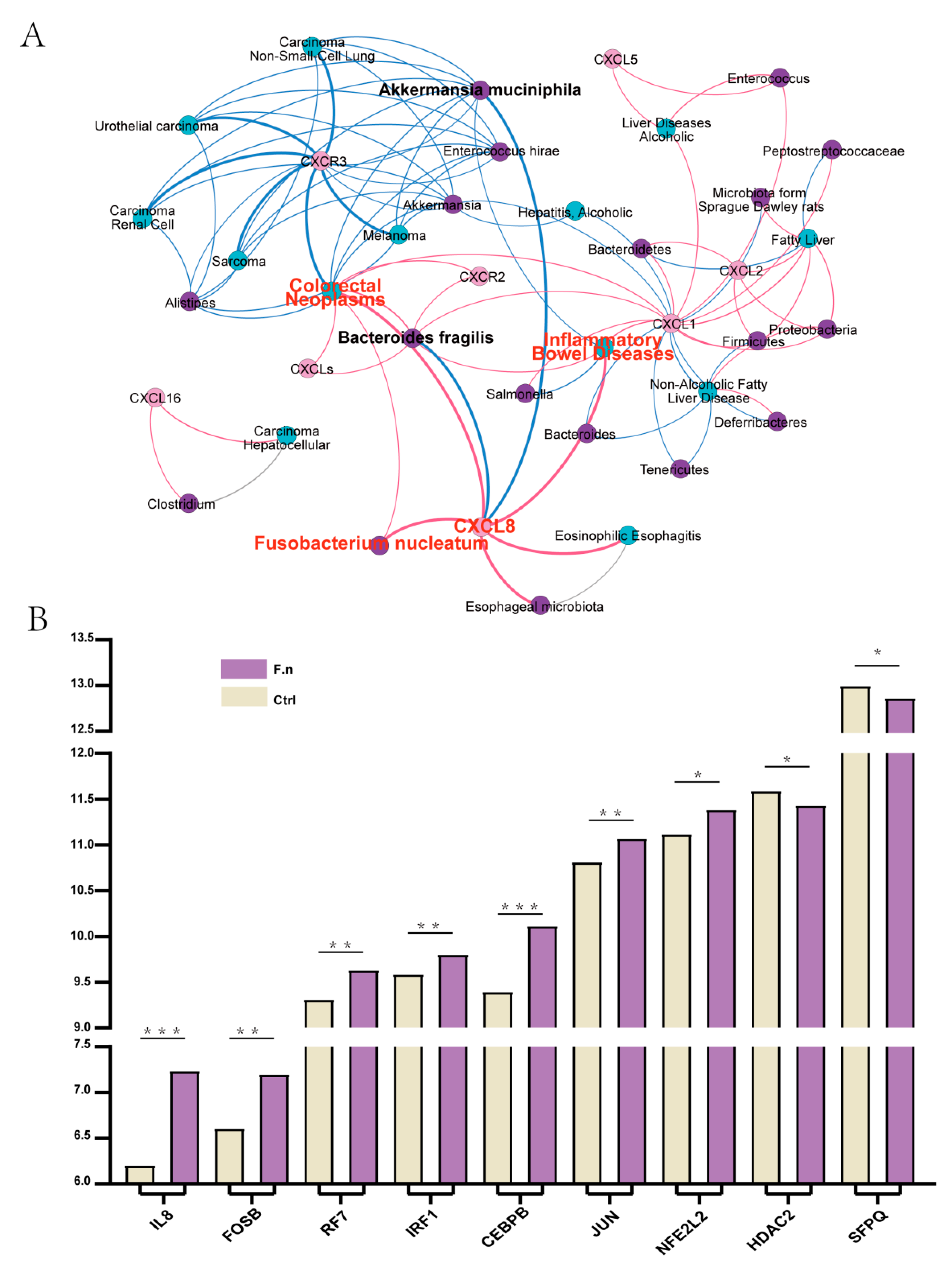 Cancers 13 04153 g009