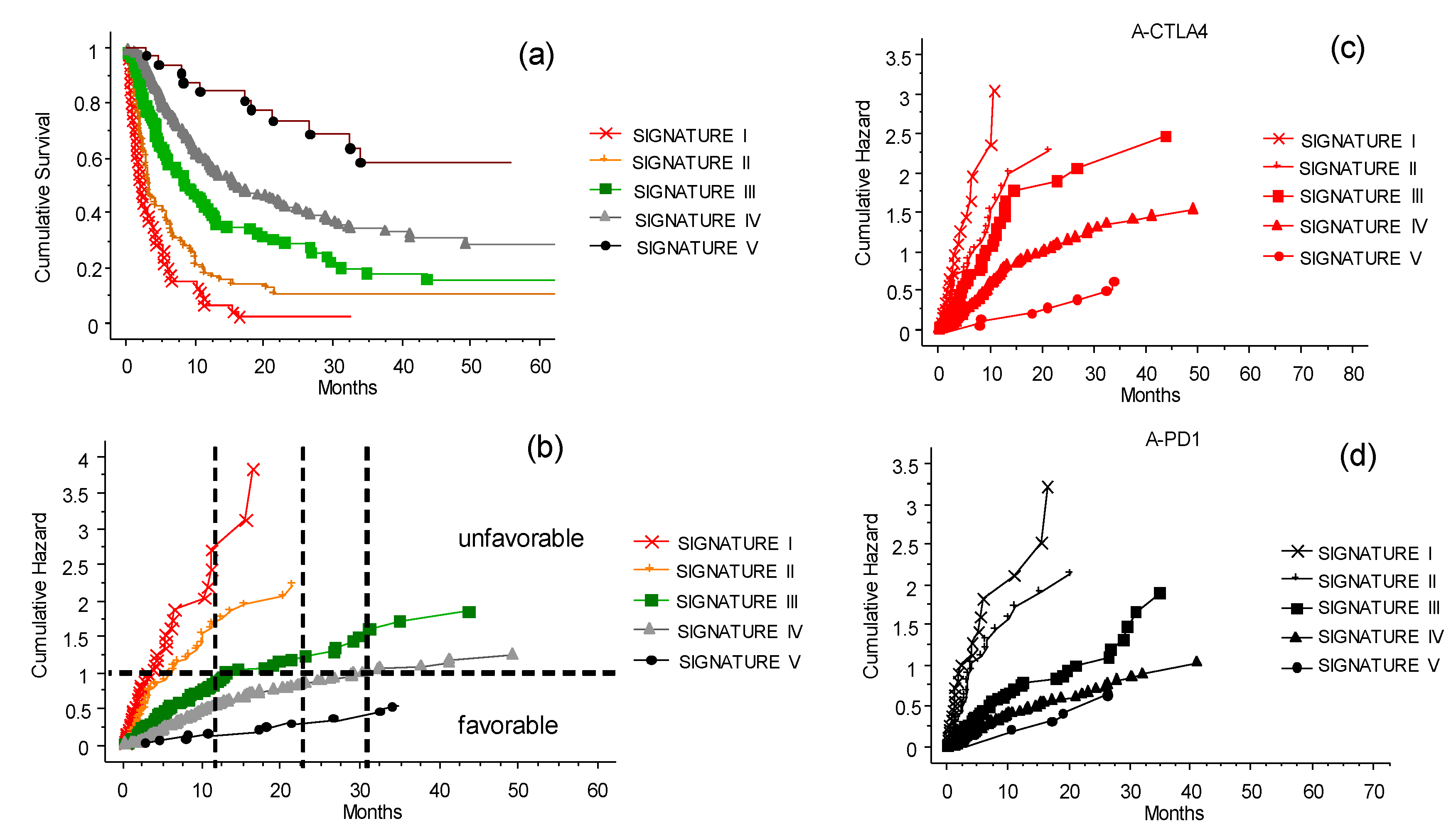 Cancers 13 04164 g008 Cancers 13 04164 g008
