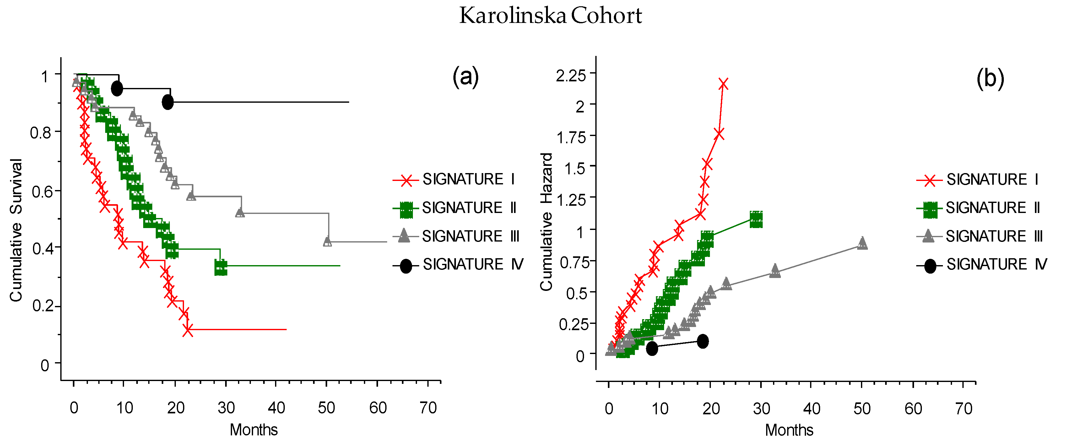 Cancers 13 04164 g010 Cancers 13 04164 g010