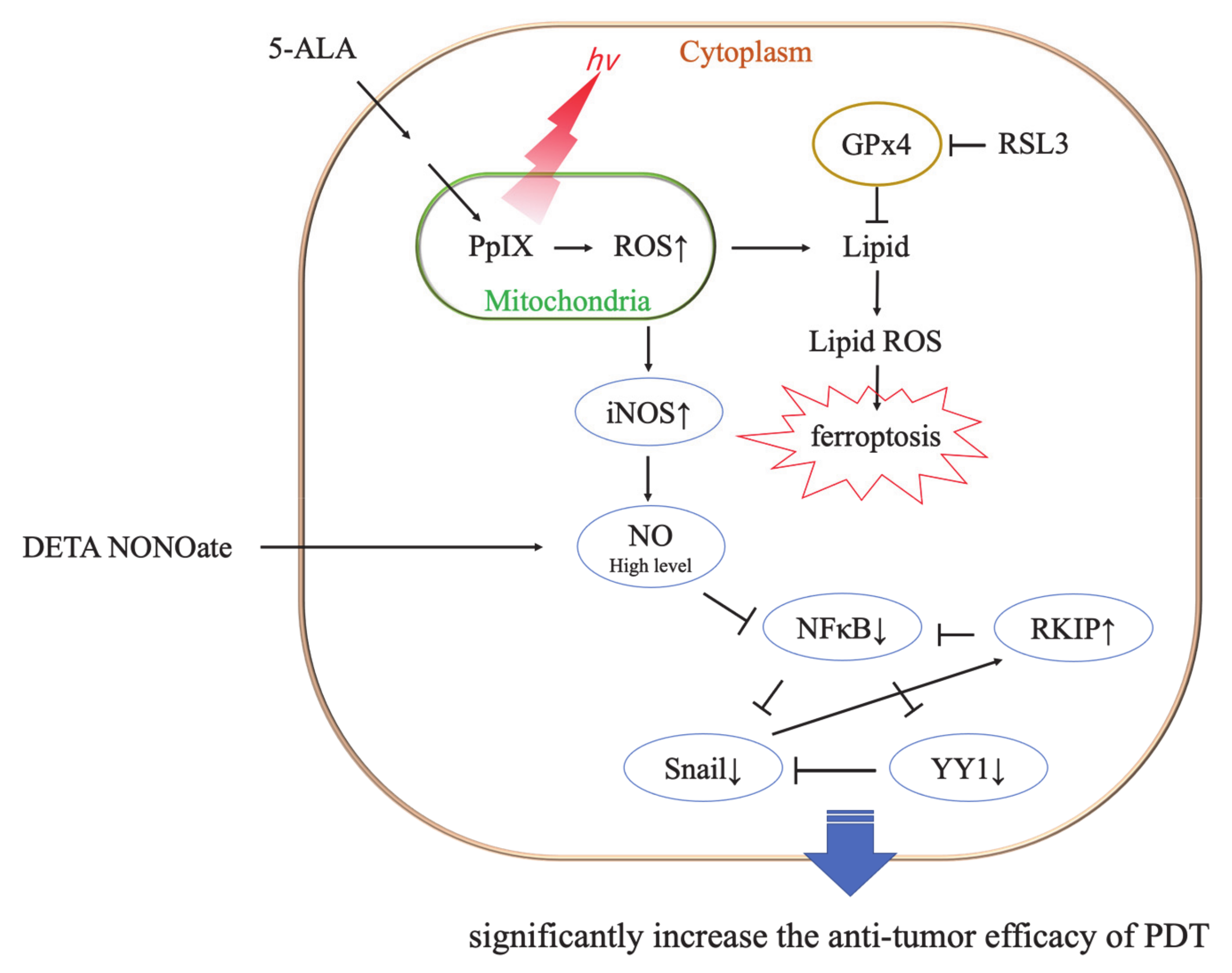 Cancers 13 04174 g009