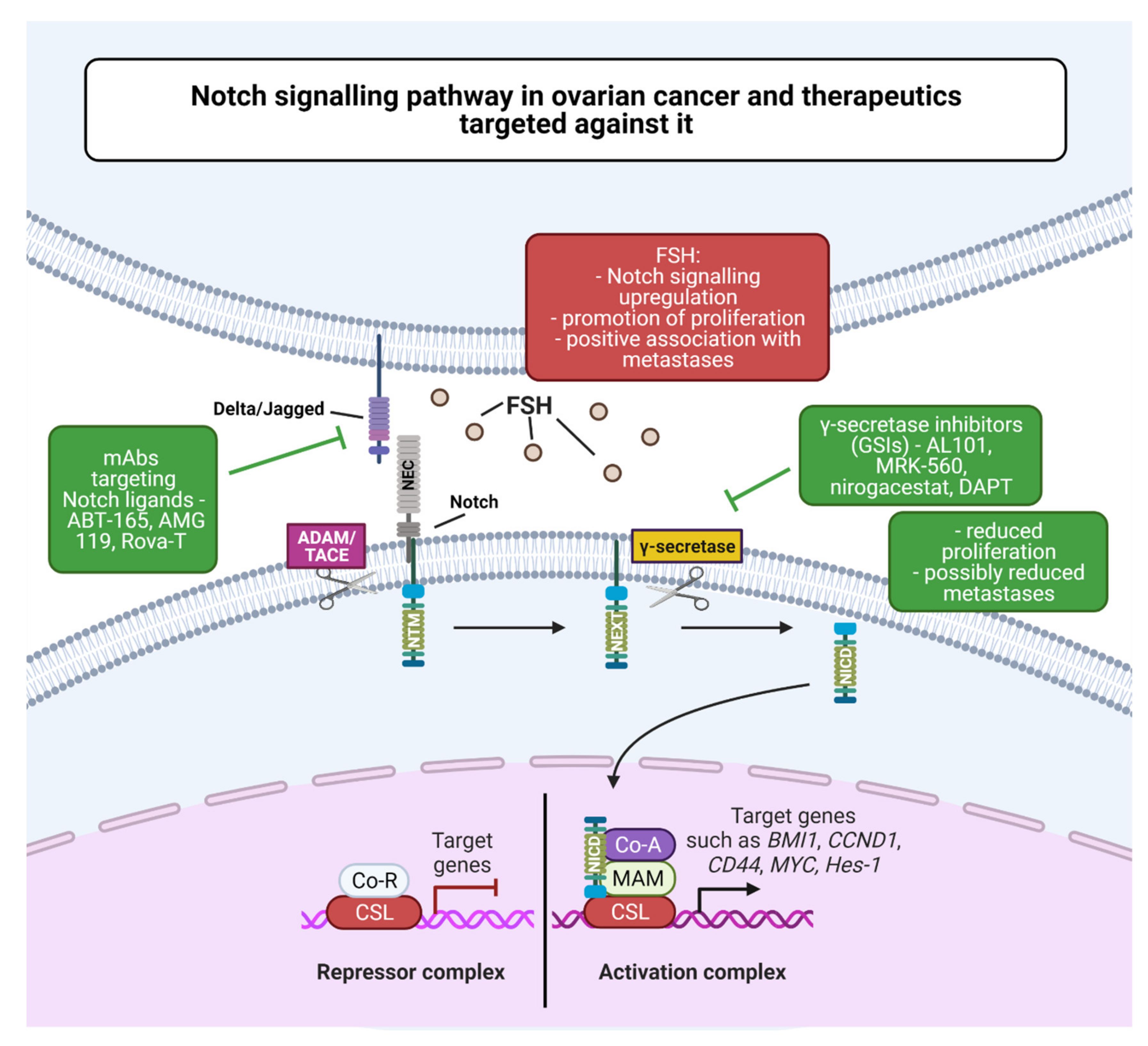 Cancers 13 04178 g004