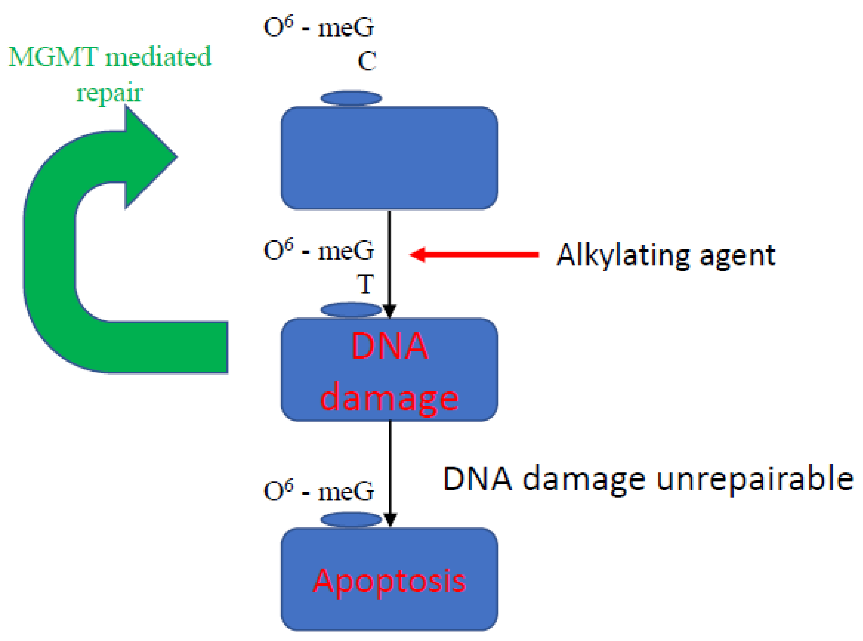 Cancers 13 04181 g002