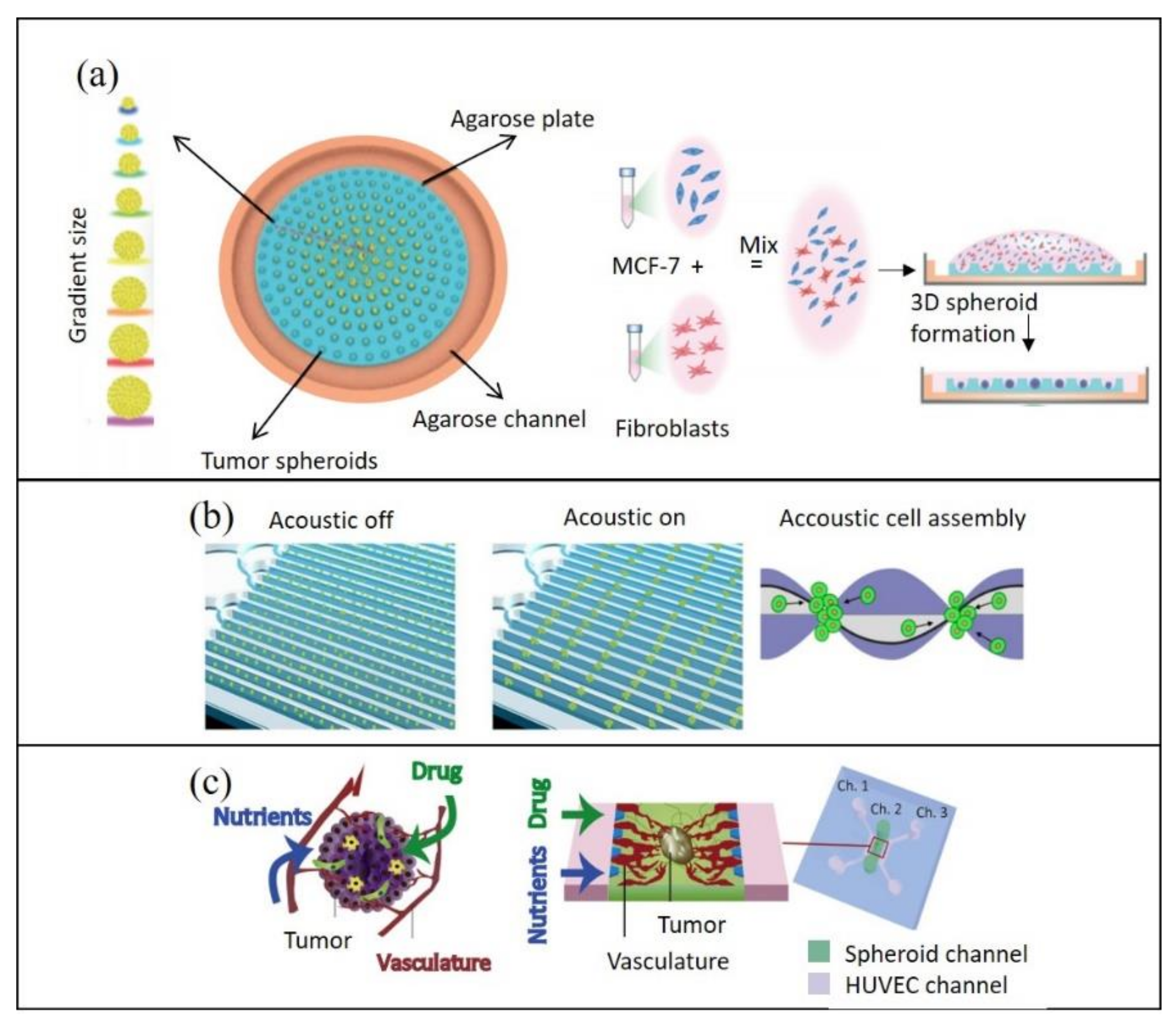 Cancers | Free Full-Text | Technological Advances in Tumor-On-Chip  Technology: From Bench to Bedside