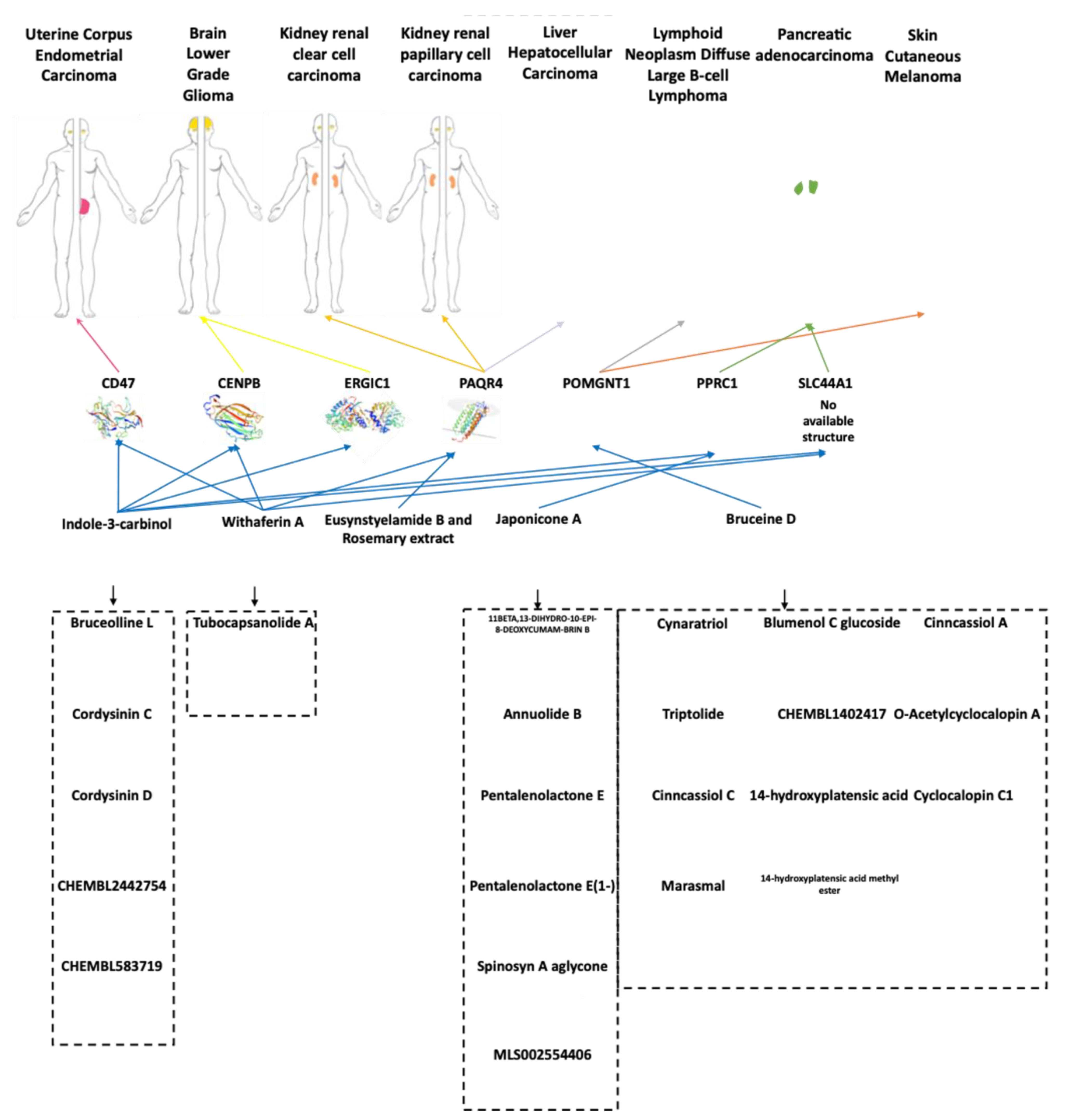 Cancers 13 04207 g003