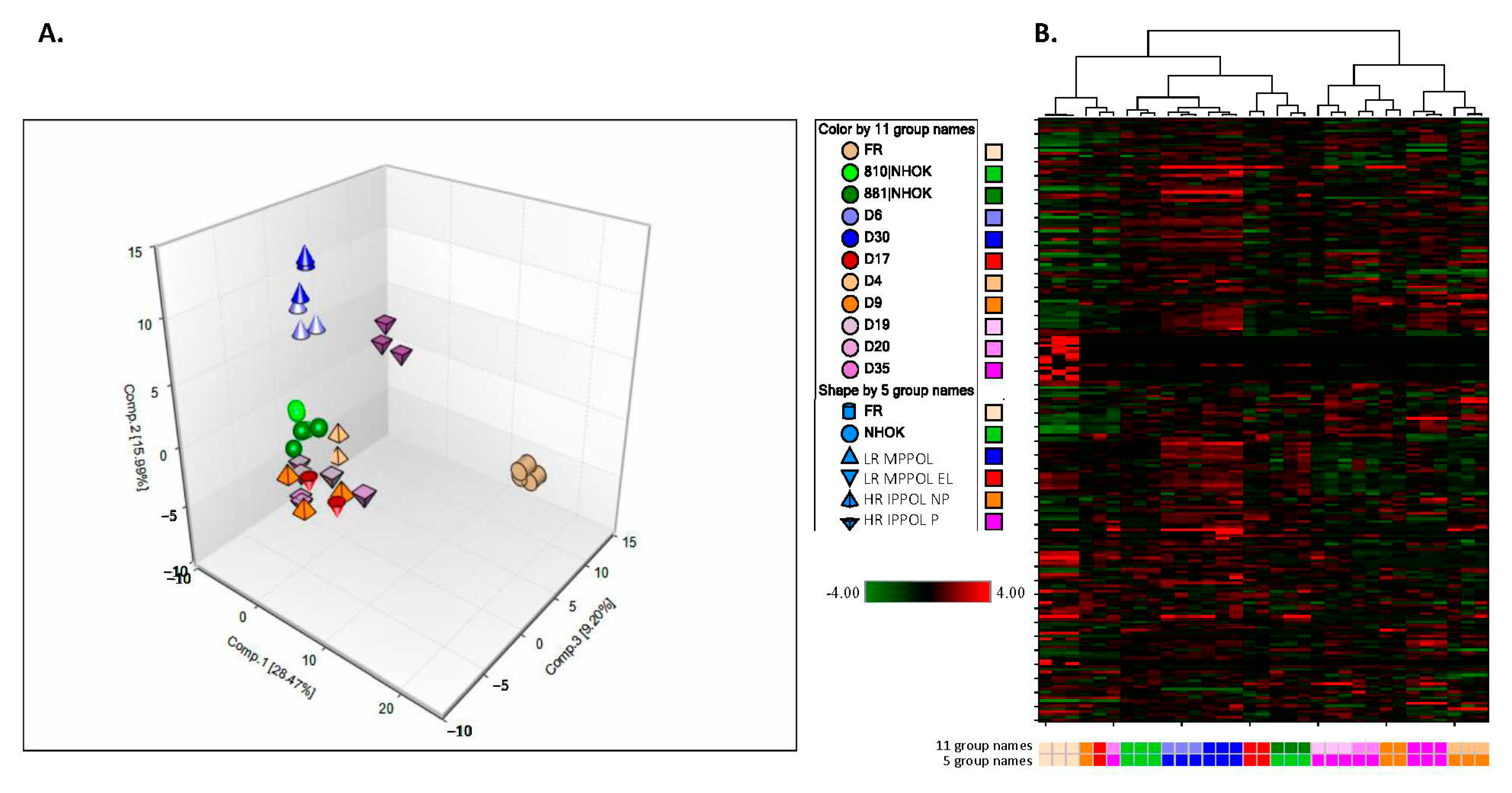 Cancers 13 04212 g001