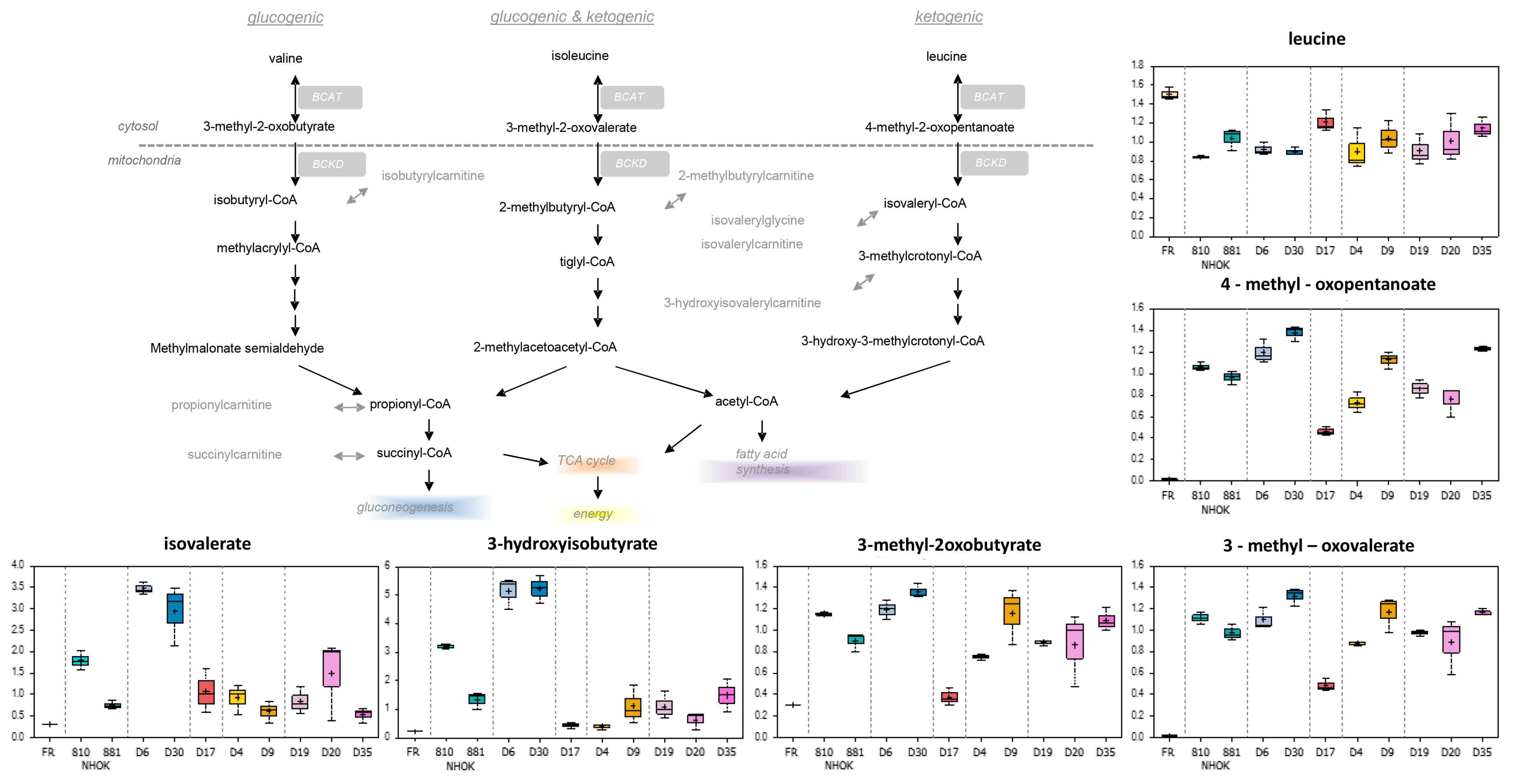 Cancers 13 04212 g003