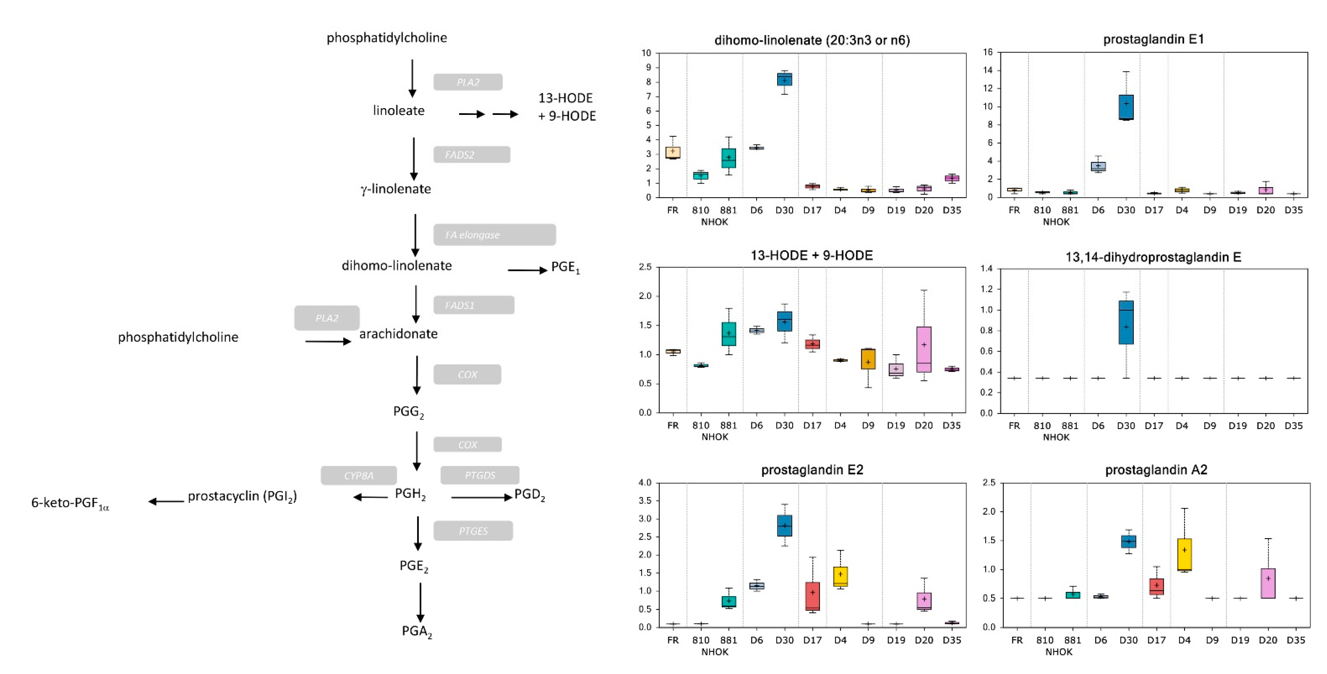 Cancers 13 04212 g005
